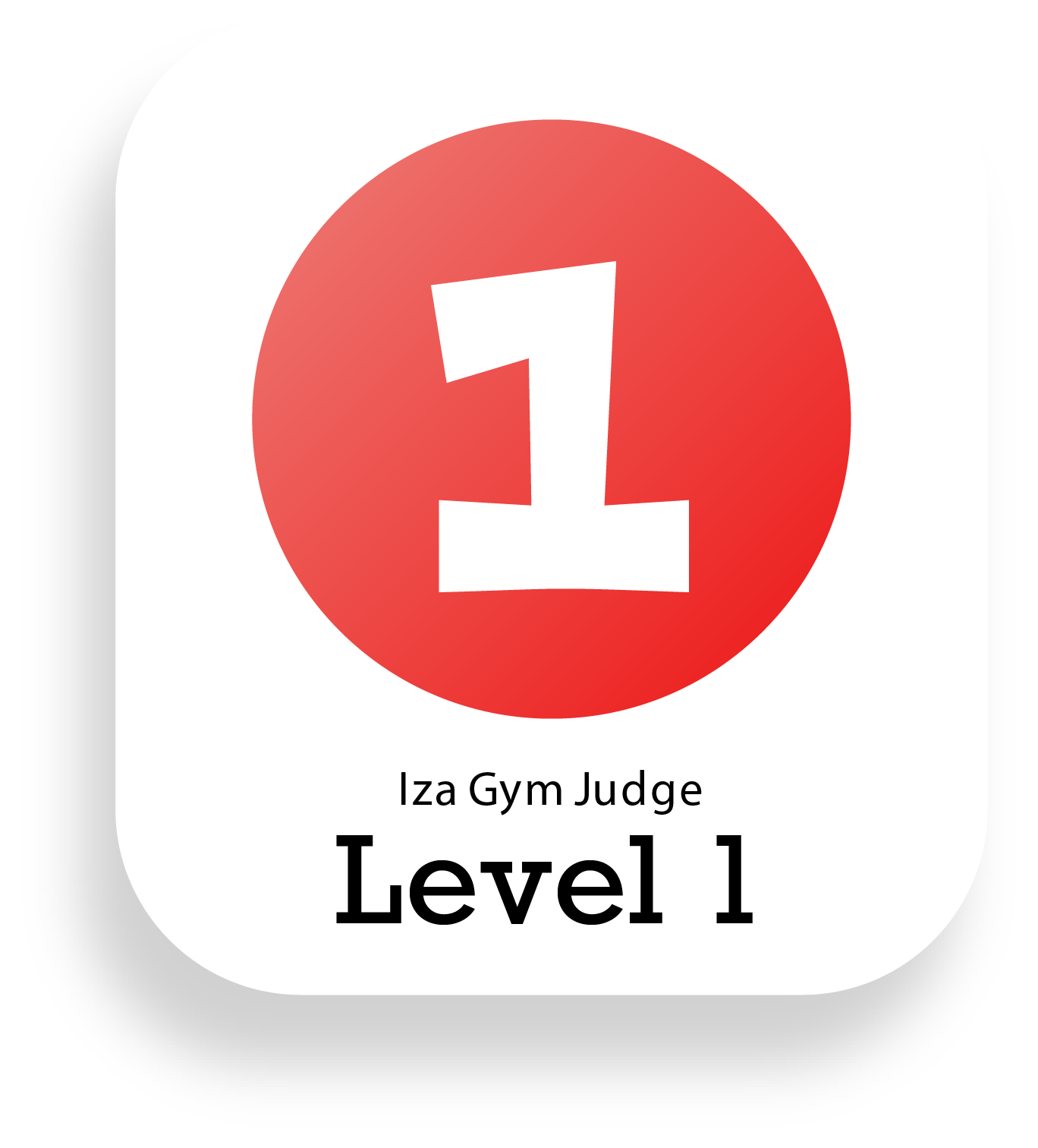 DP Gymnastics Level 8 — lzaGymJudge