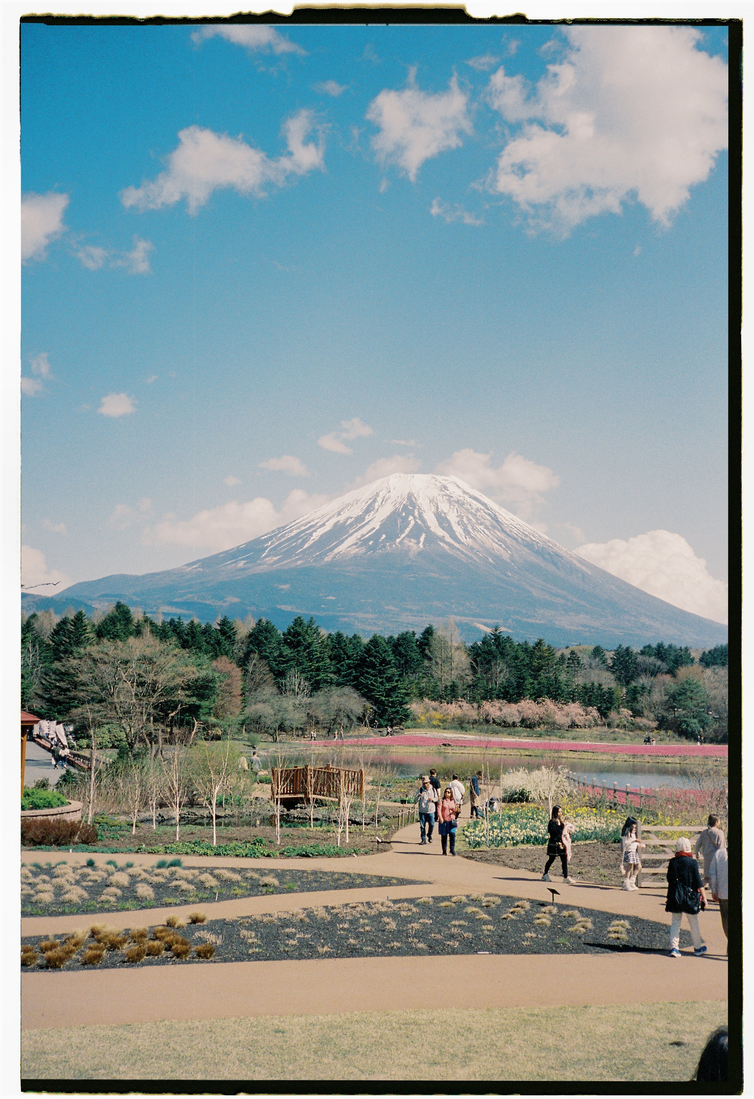 june2023film-58.jpg
