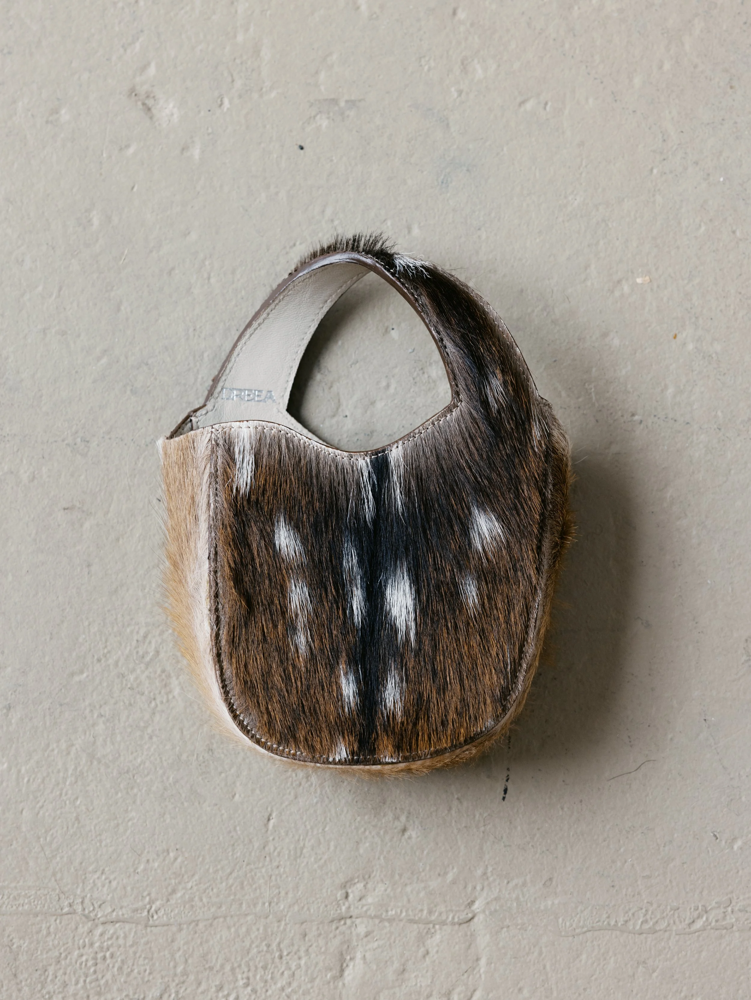 ALISON BAG- February 16, 2026 -  6007-1.jpg