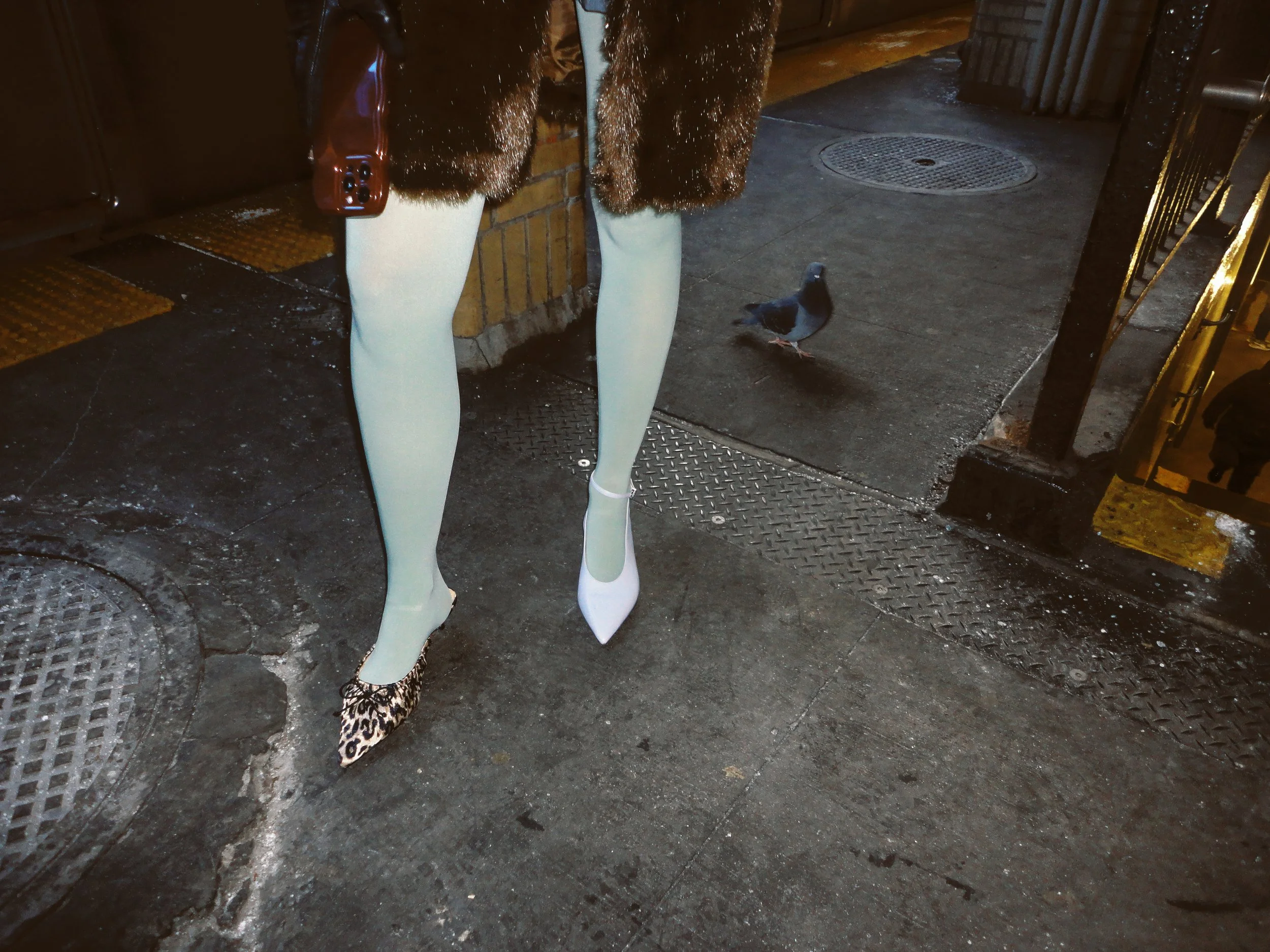 raachelabbyerinphoto- February 05, 2010 -  08414-4.jpg
