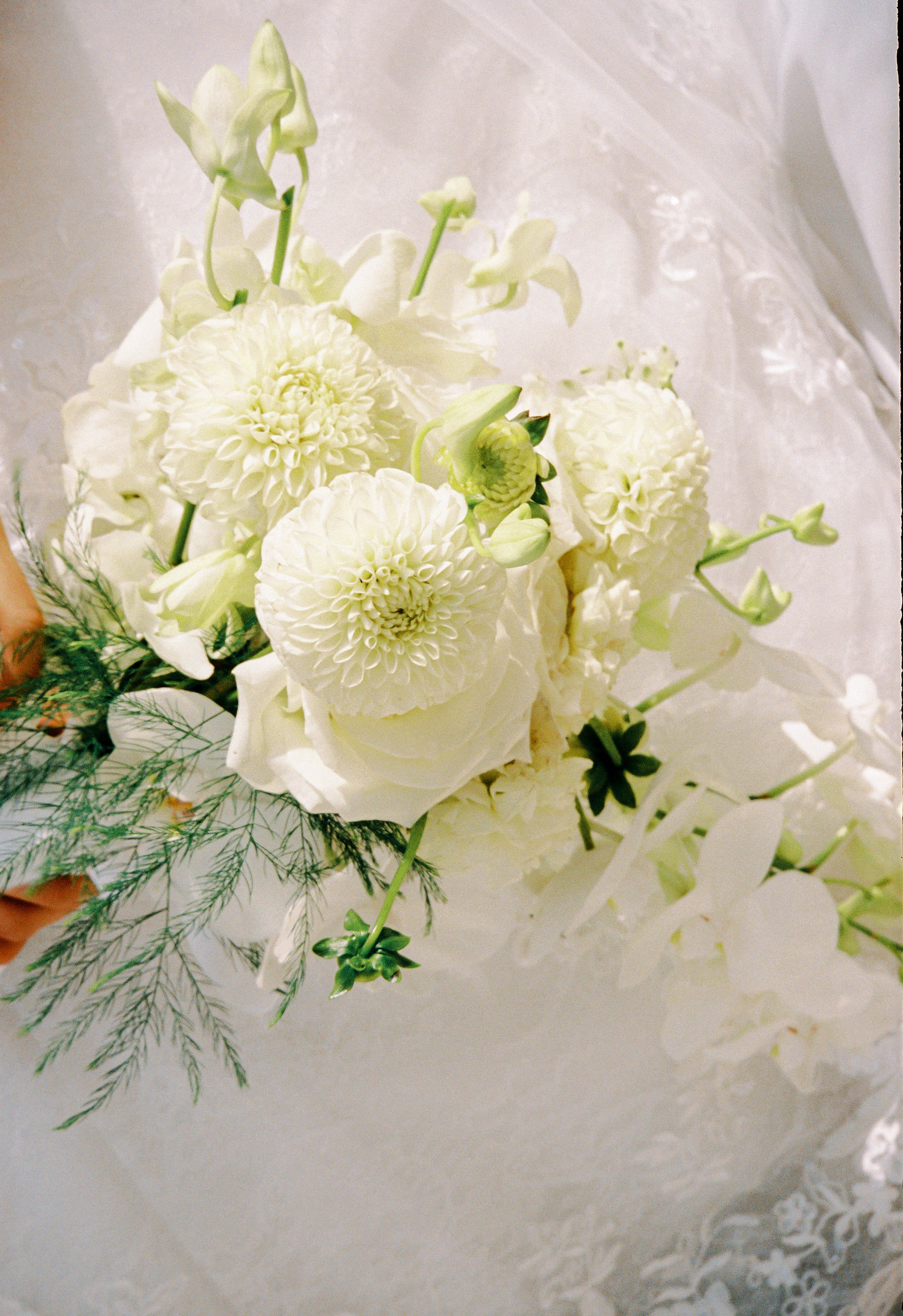 AVERYENGAGEMENT--32.jpg