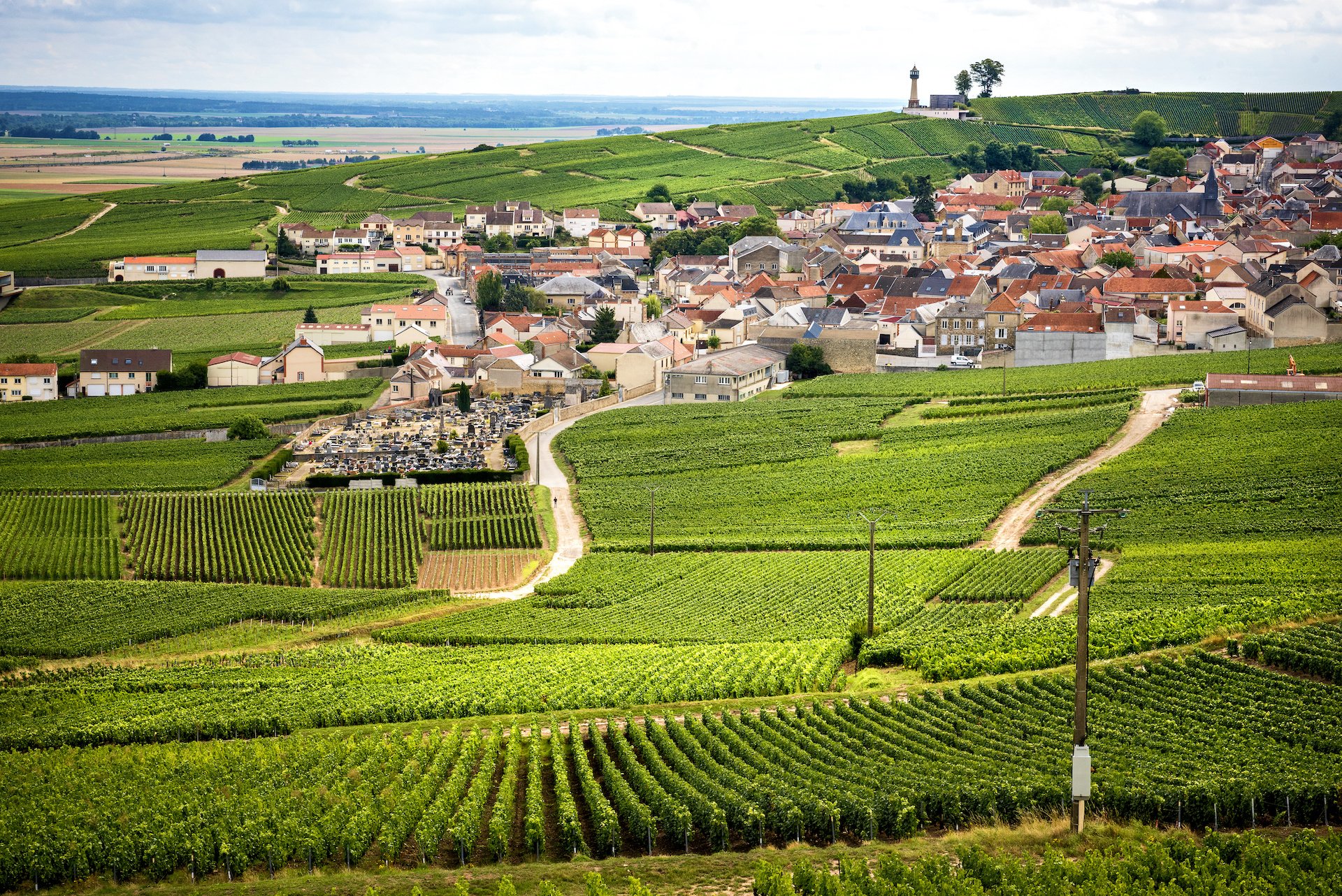 French countryside.jpeg