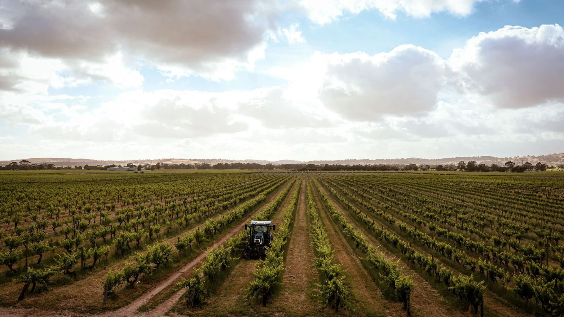 Kaeslar Barossa Vineyards
