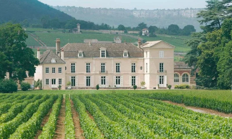 Chateau Meursault #1.jpg