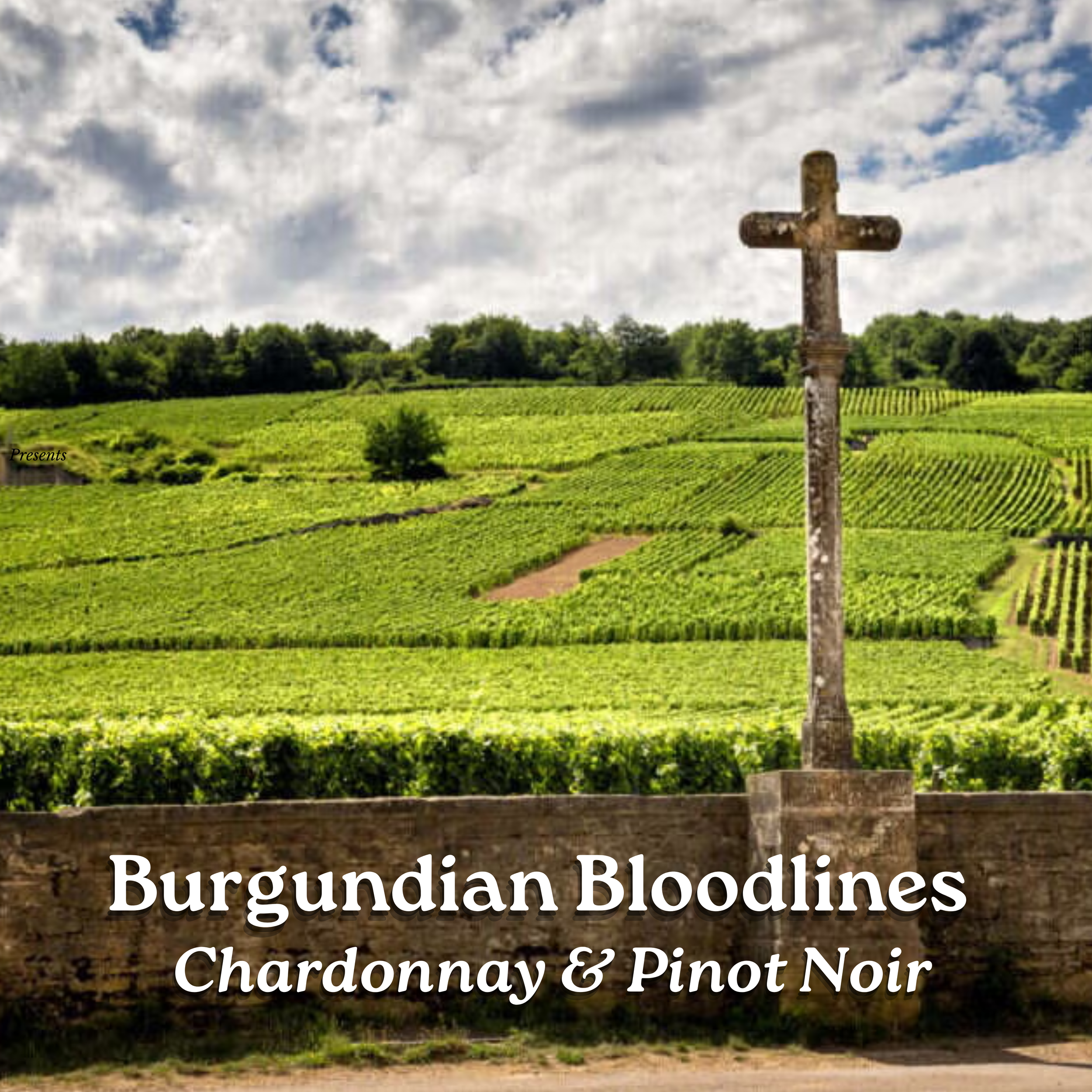 Burgundian Bloodlines