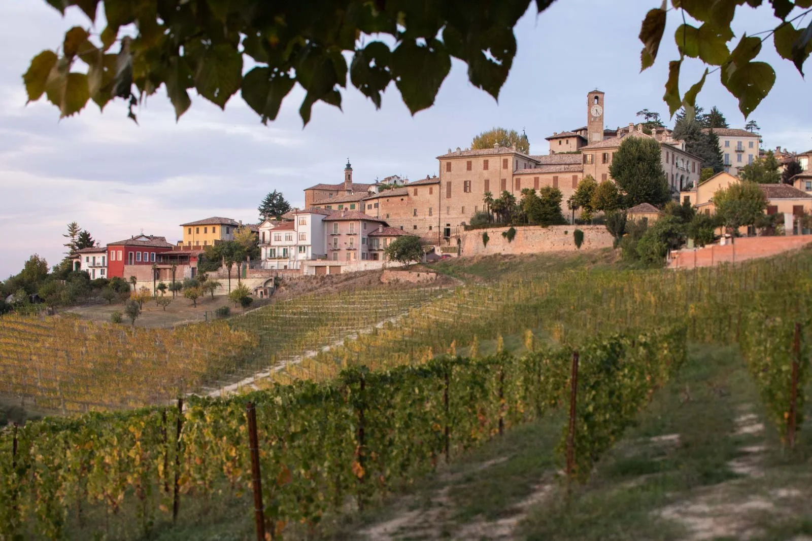 Dante Rivetti Winery.jpg