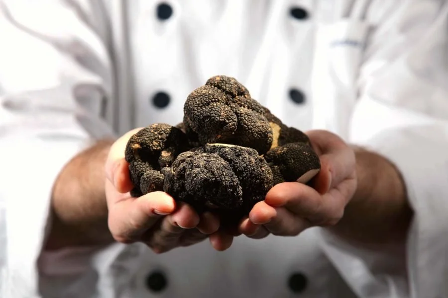 Truffles 2.jpg