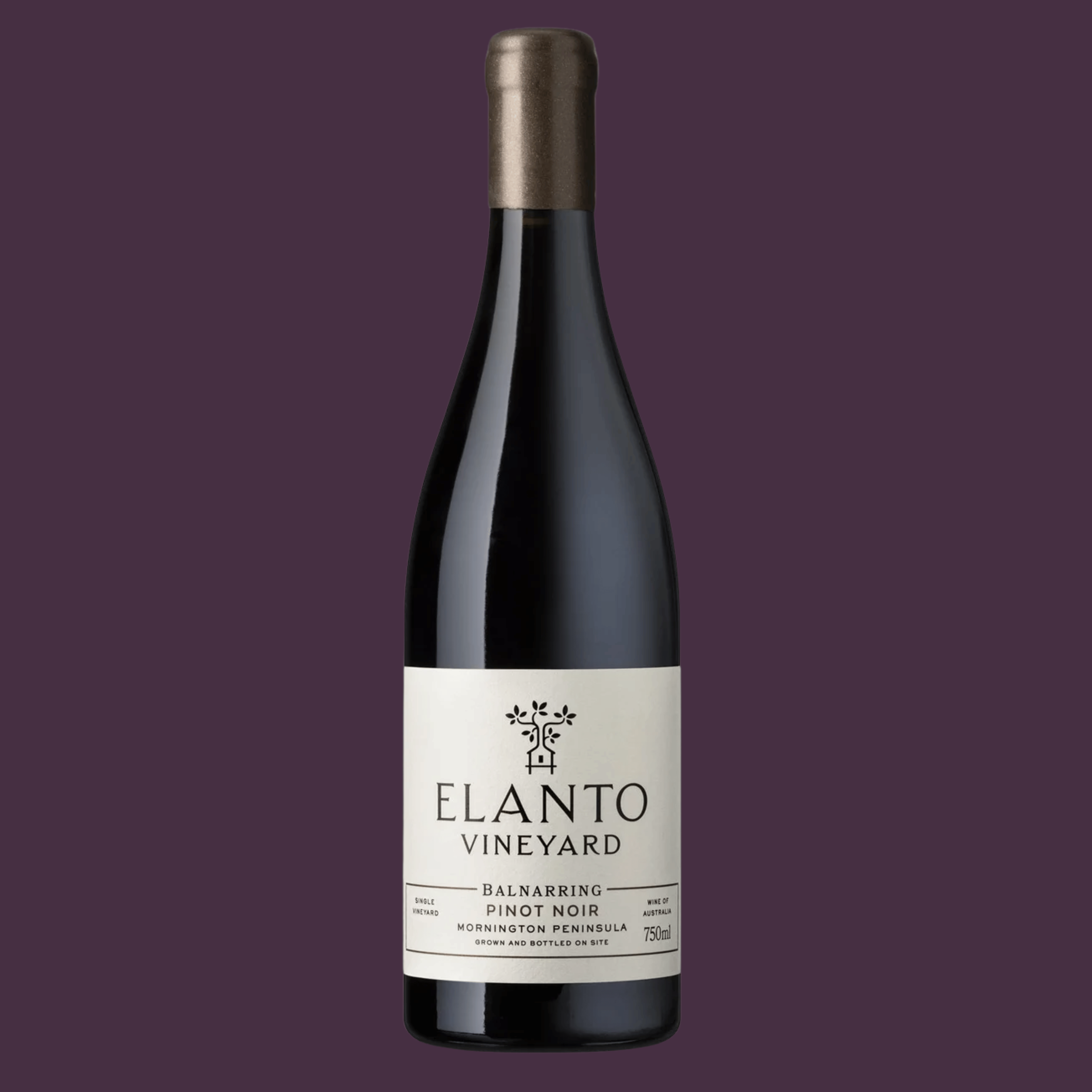 2023 Elanto Vineyard Pinot Noir, Mornington Peninsula, VIC