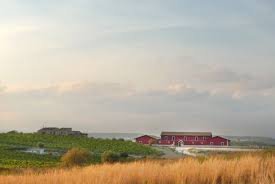 Marabino Winery