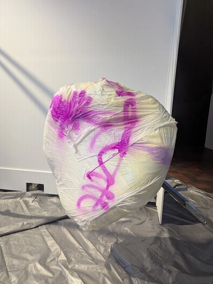 9 tfil - portrait spray pink white lump.jpg