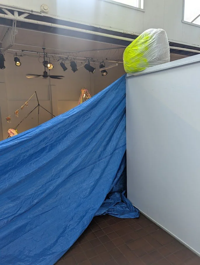 6 tfil - portrait - boulder and blue tarp.jpg