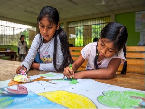 In 2024 and 2025, Planet Women made grants to Legado for Futuros Vivos, a collaboration with the Indigenous Peoples and local communities stewarding Megantoni National Sanctuary and Machiguenga Communal Reserve in the Amazon Basin in Peru. Legado's l