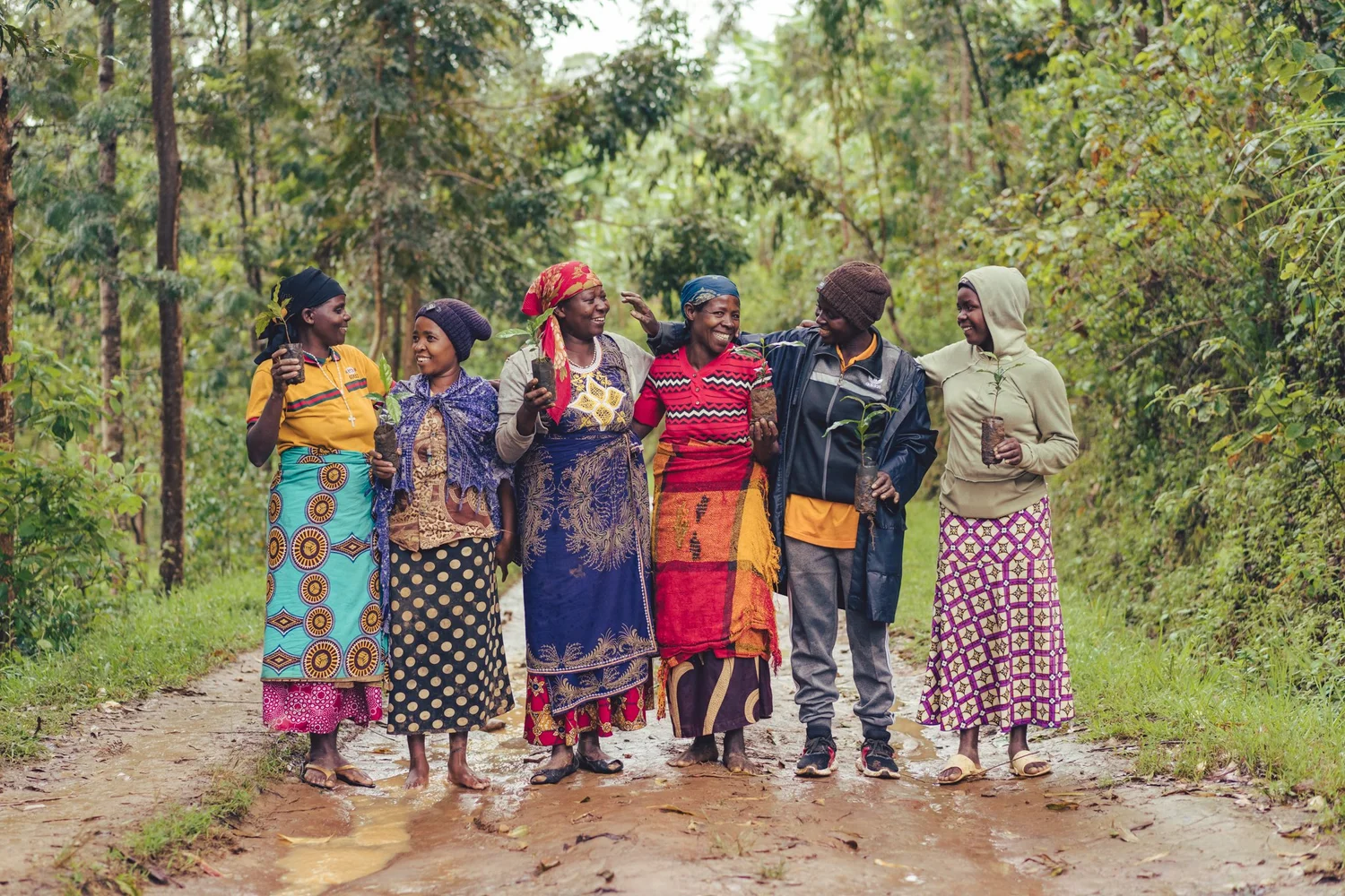 Africa Mid-Year Updates — Planet Women