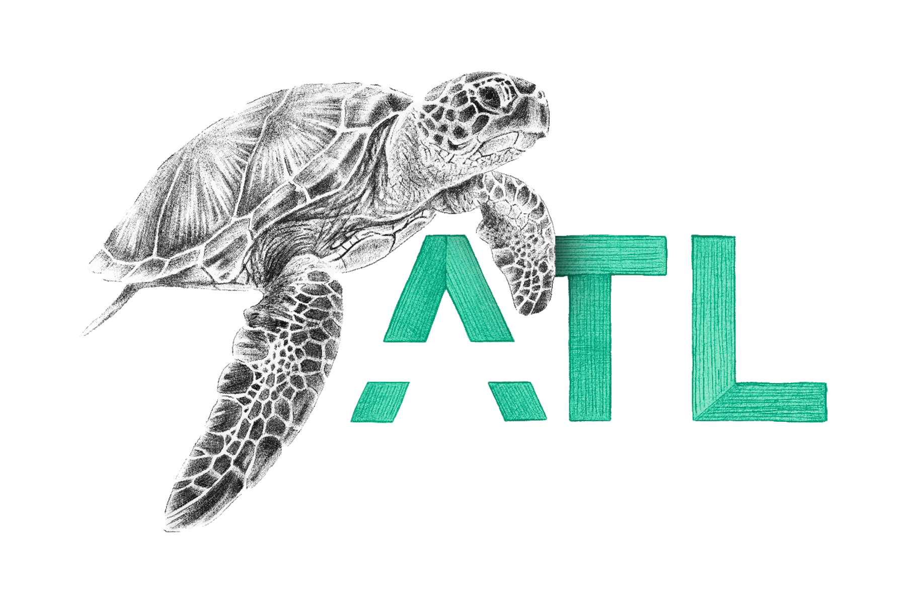 ATL-Green-Sea-Turtle.png