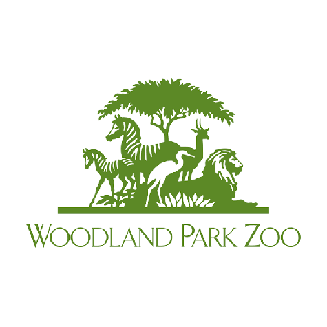 woodland.png