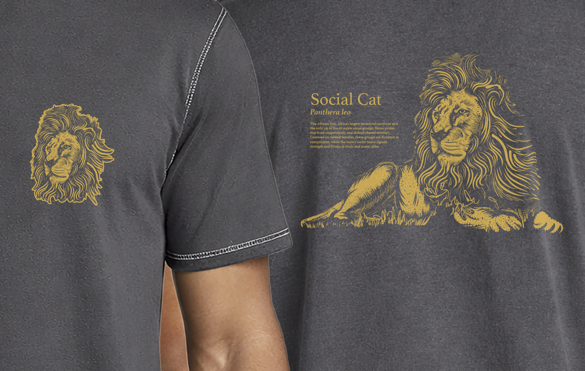 Screenshot 2026-04-12 at 7.40.44 PM.png