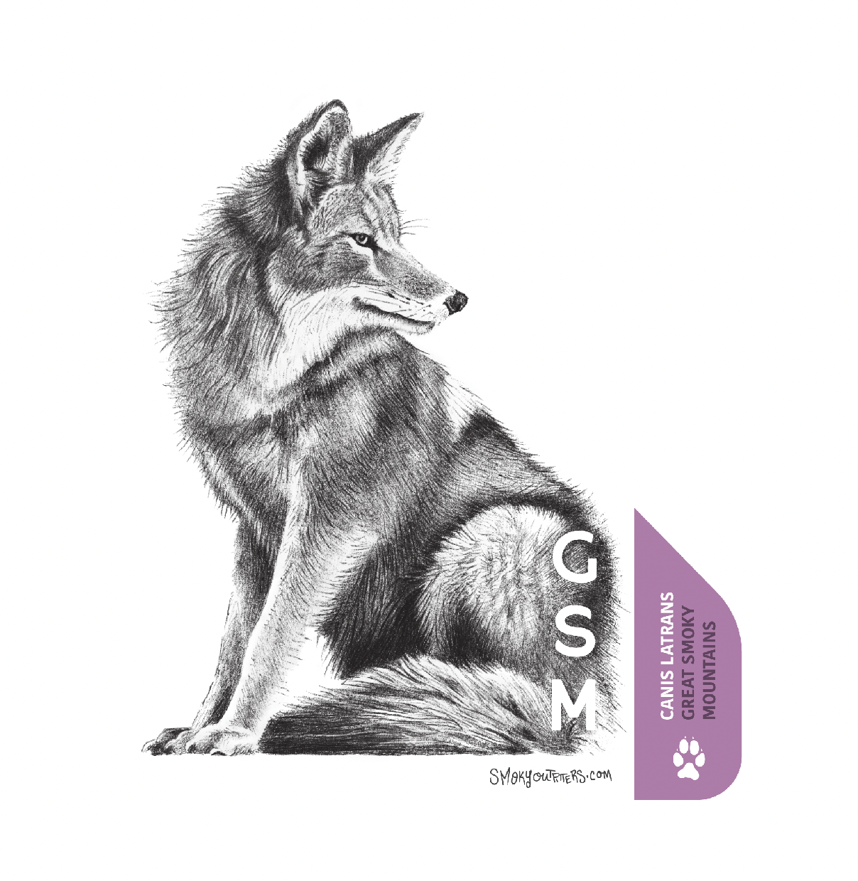 Coyote: Hand drawn by Jesse Brass, pen and ink