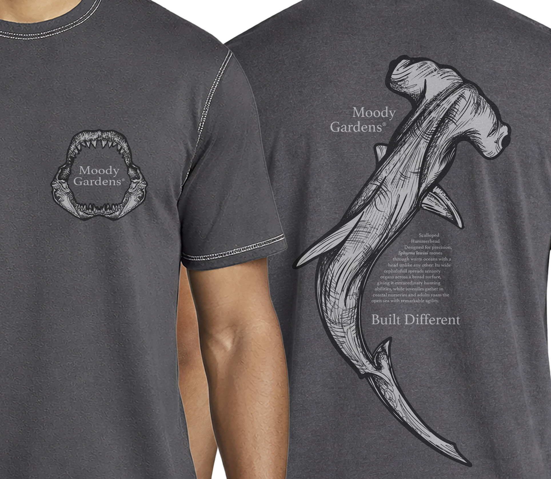 Screenshot 2026-04-12 at 7.42.47 PM.png