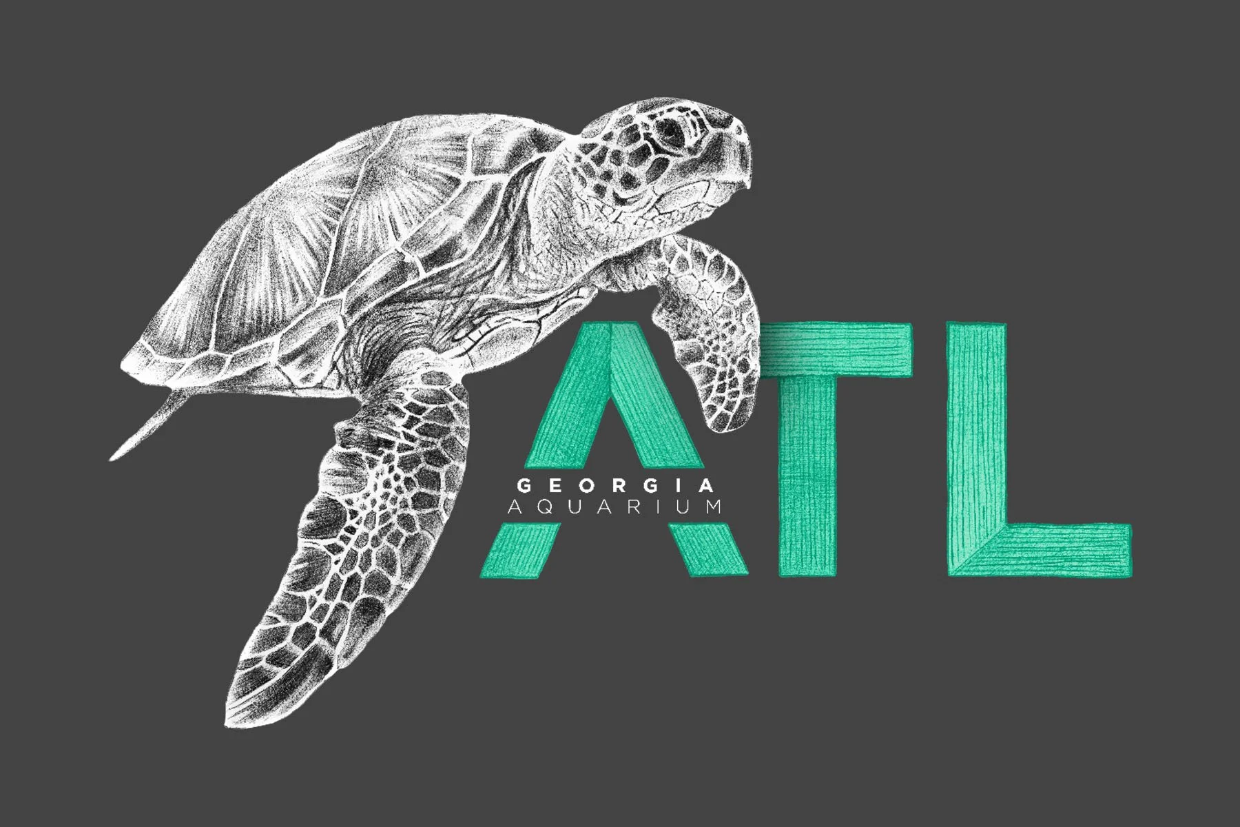 ATL-Green-Sea-Turtle.jpg
