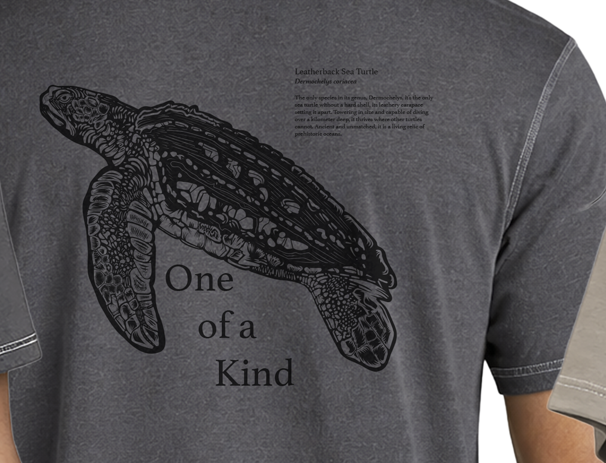 Screenshot 2026-04-12 at 7.42.01 PM.png