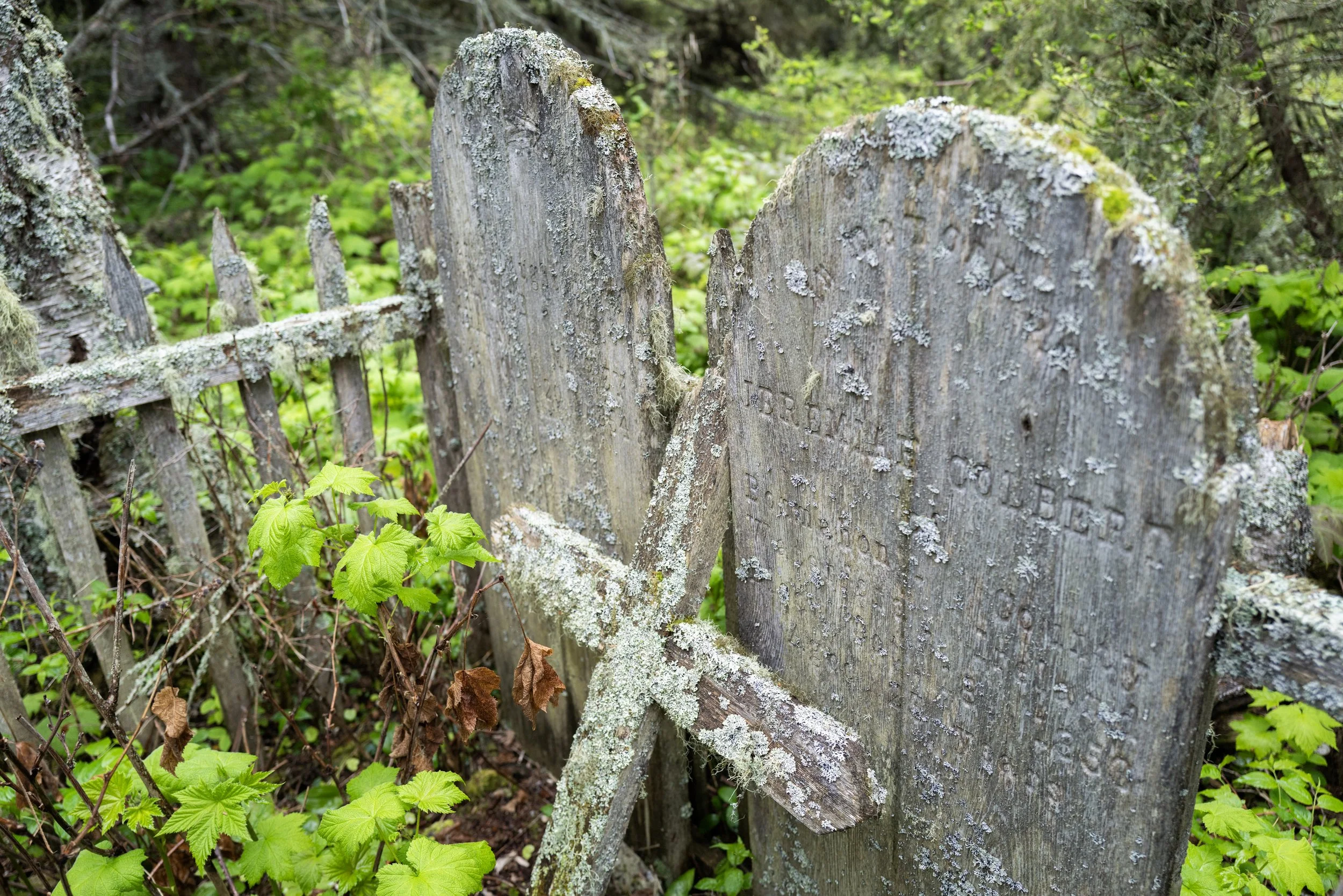 L1026108.jpg