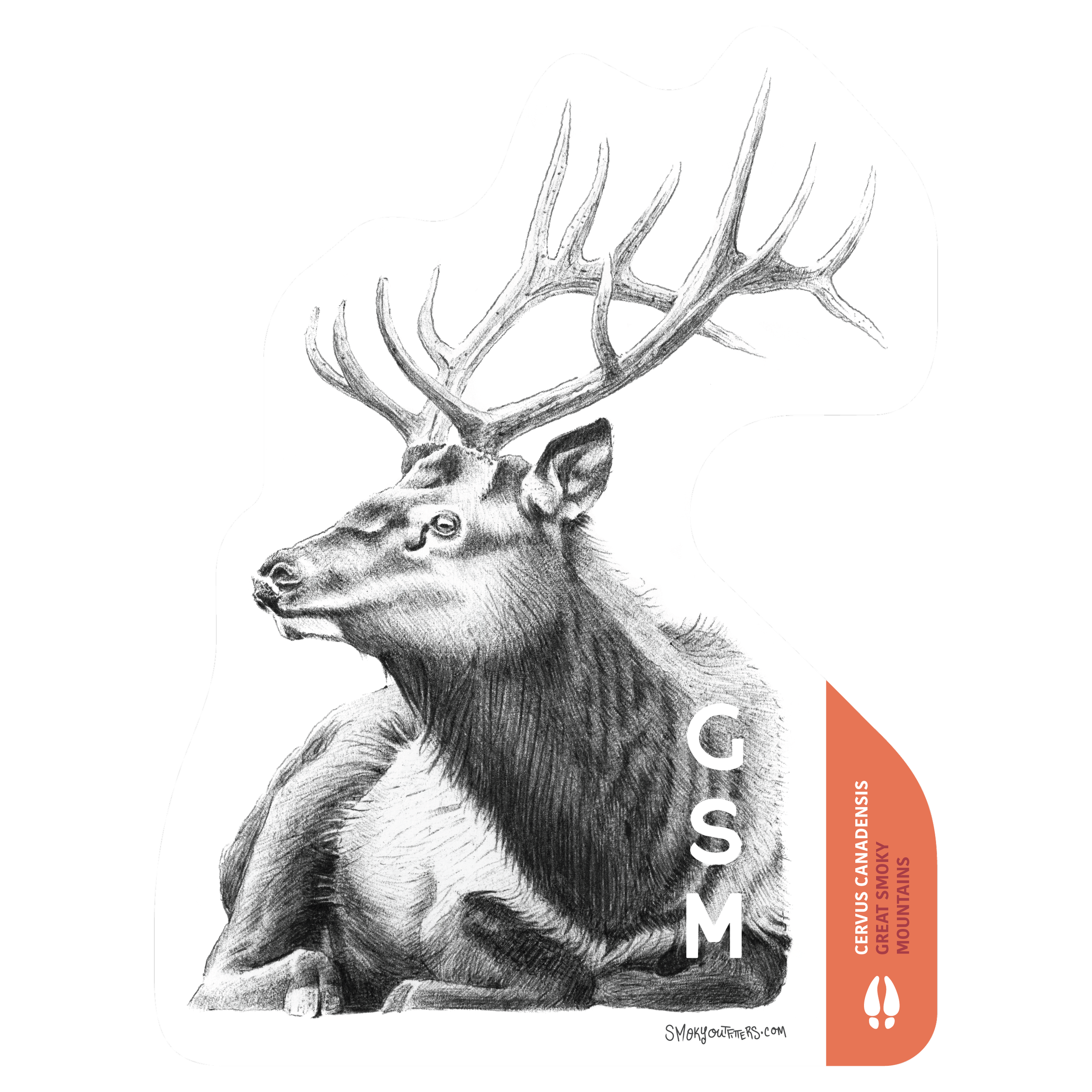 Elk: Hand drawn by Jesse Brass, pen and ink