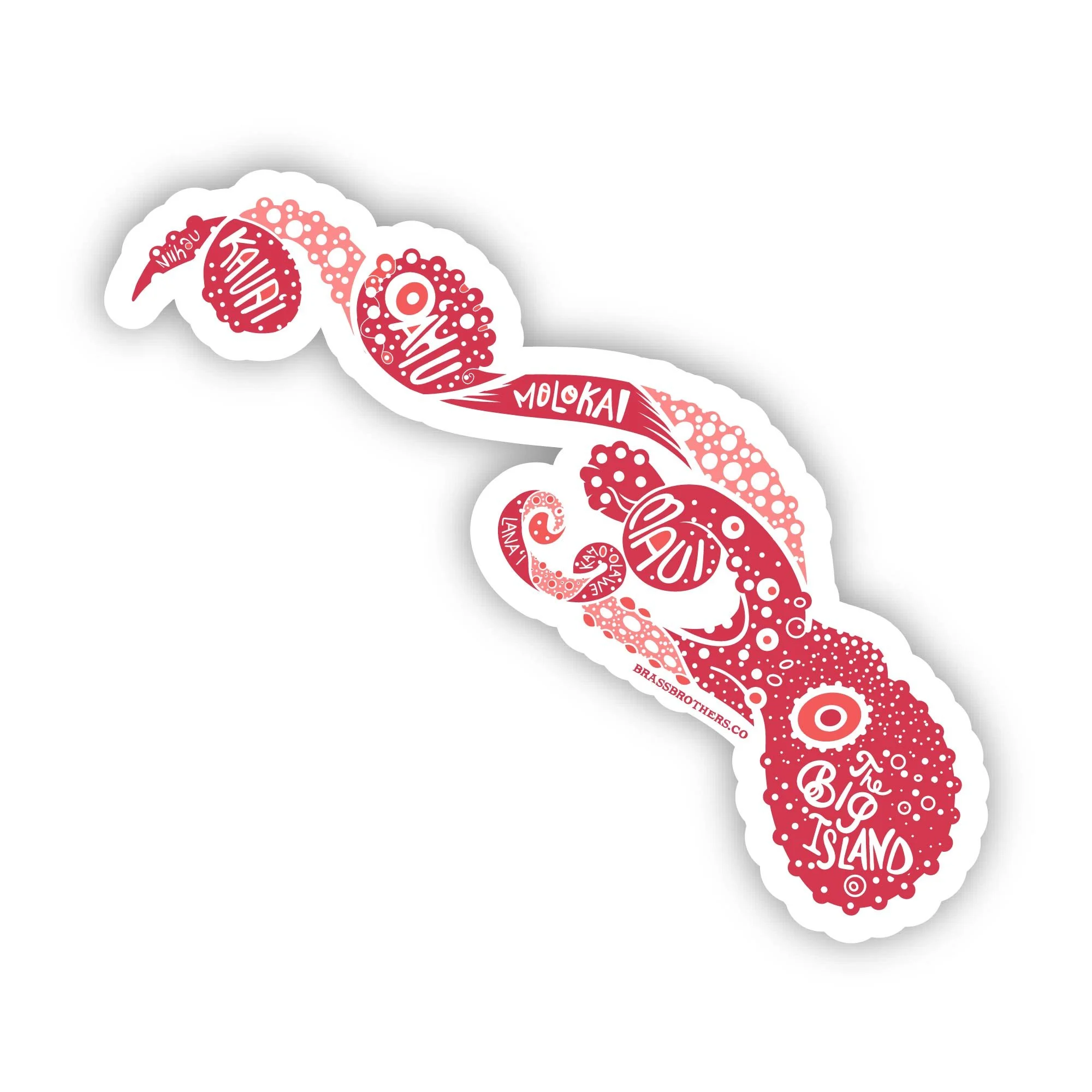 VectorMasterBBSurf-07.jpg