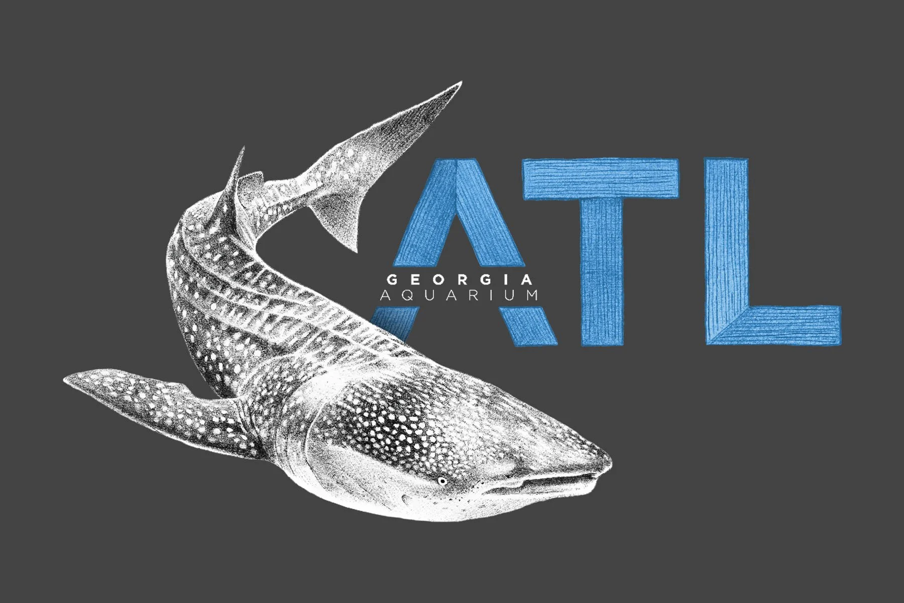 ATL-Whale-Shark.jpg