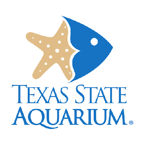 texas.png