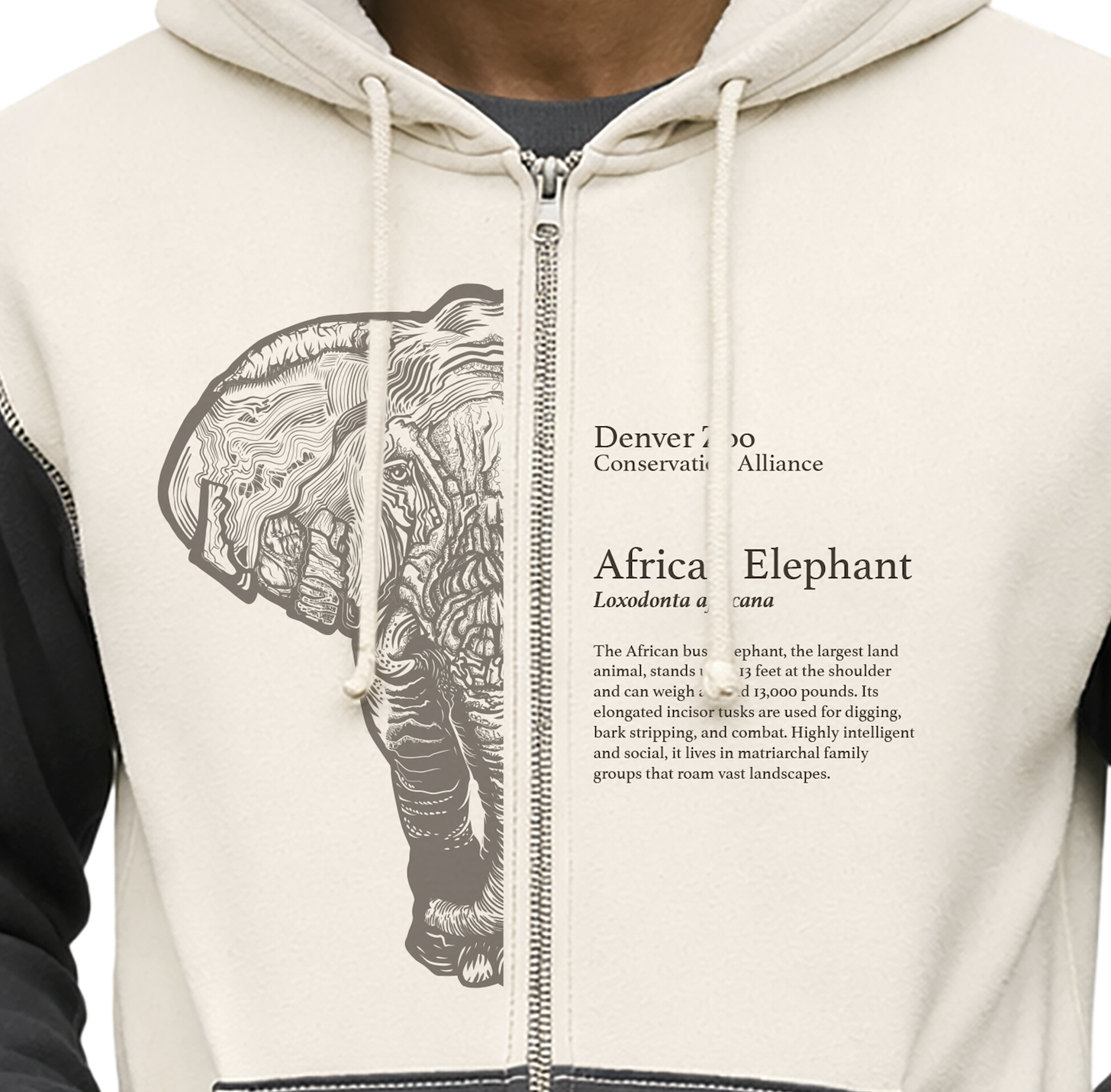 Screenshot 2026-04-12 at 7.41.35 PM.png