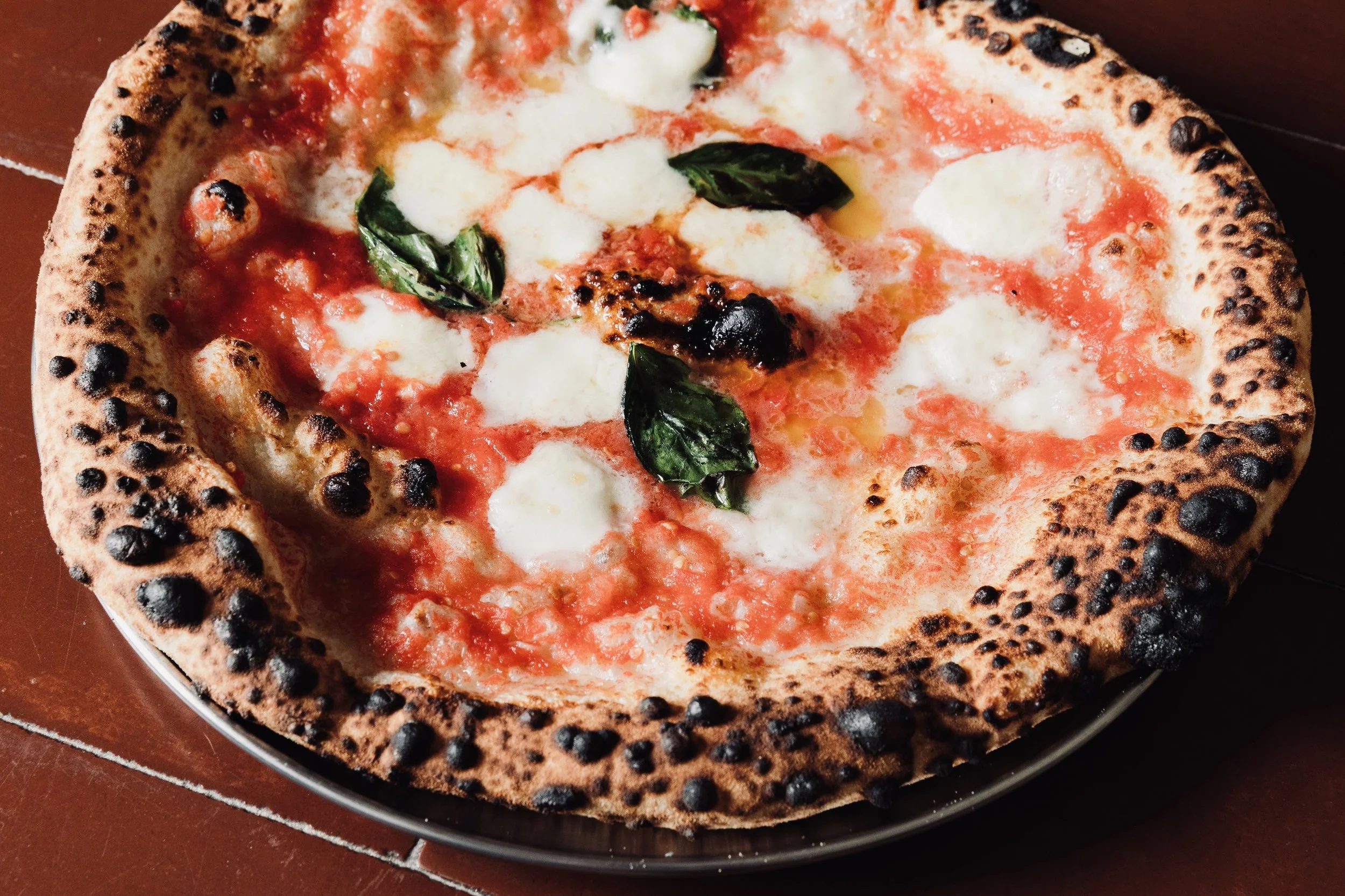 Margherita del Leone (Bufala) 2 - Credit James Lynch.jpg
