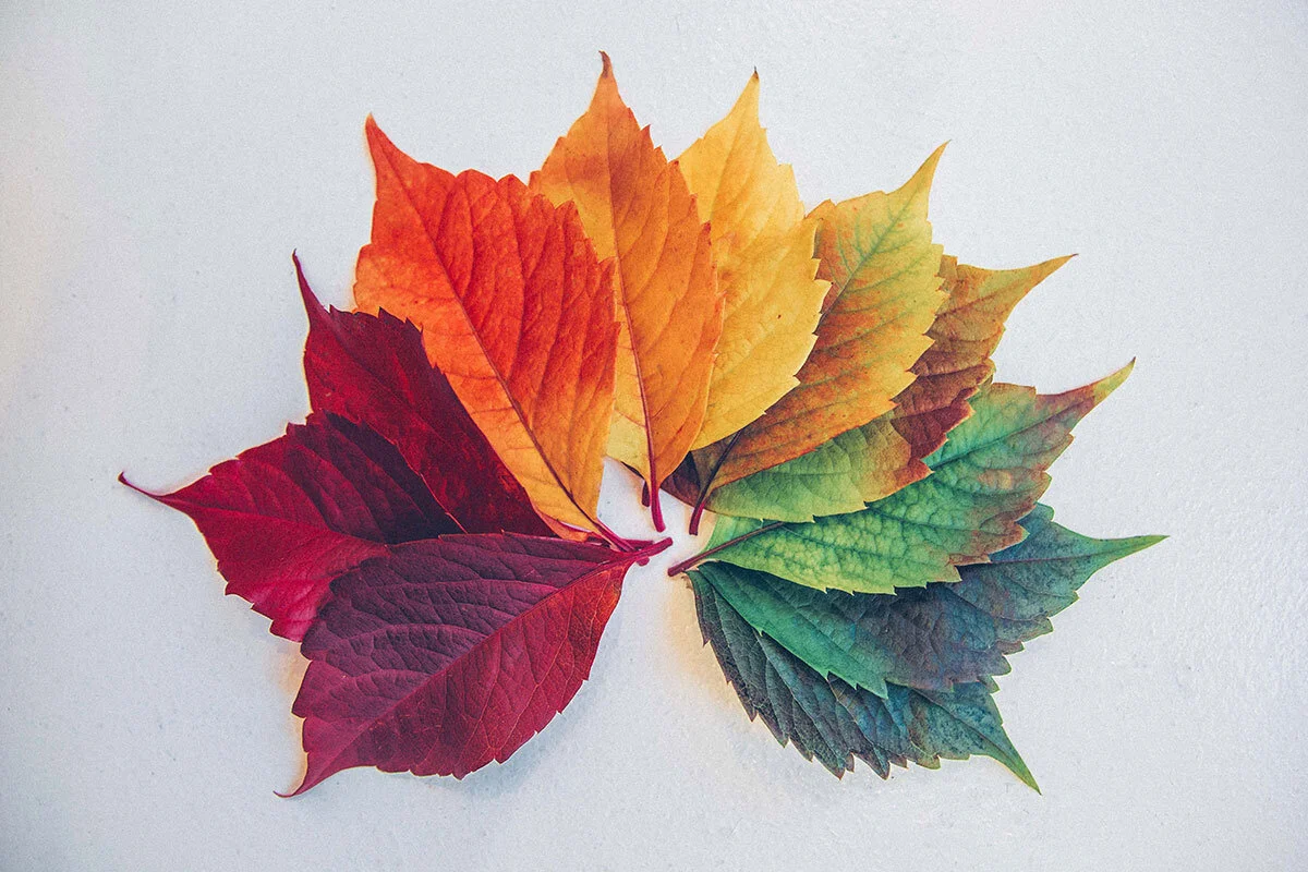 Health Readings Service