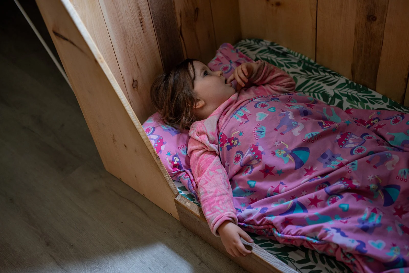 fall 2024-073_websize.jpg