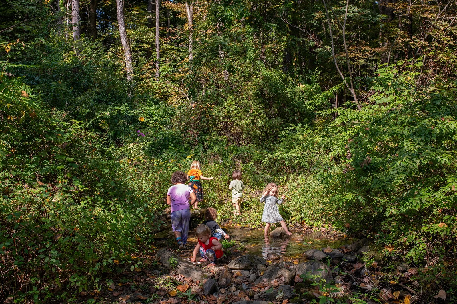 fall 2024-102_websize.jpg