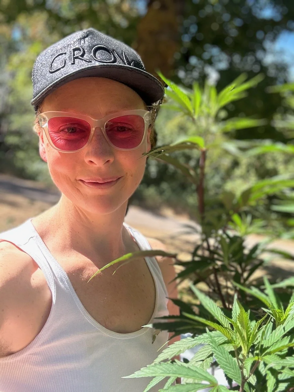 Cannabis-Enhanced Guided Meditation
