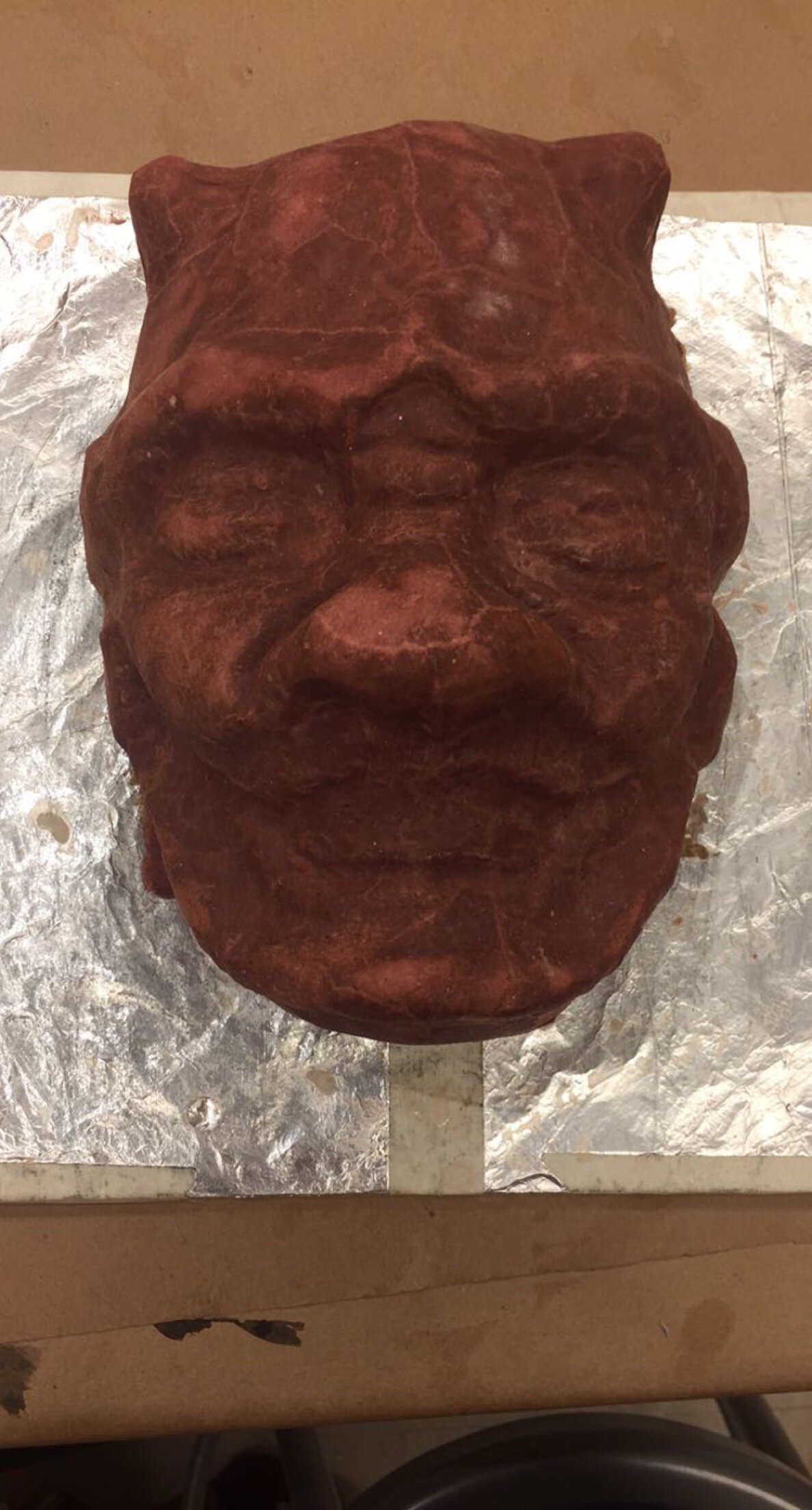 Final paper mache layer