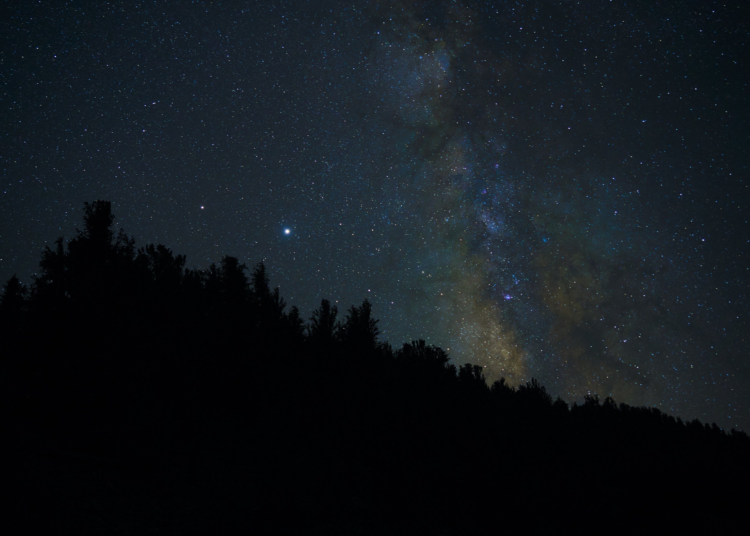 milky-way-over-the-forest.jpg