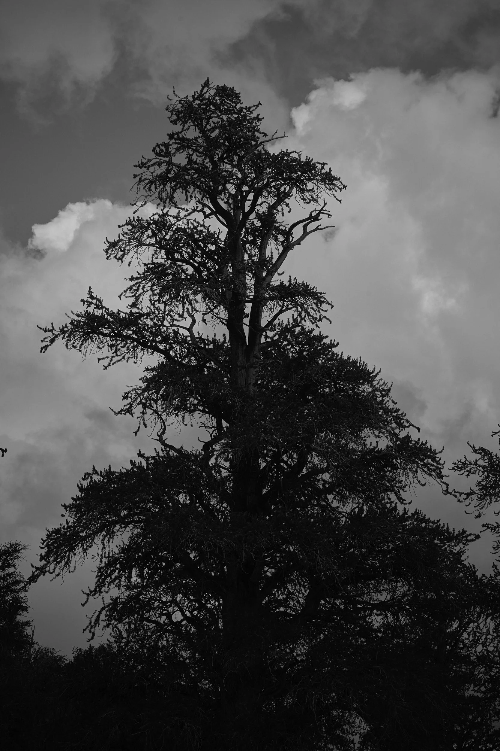DSC08317.jpg