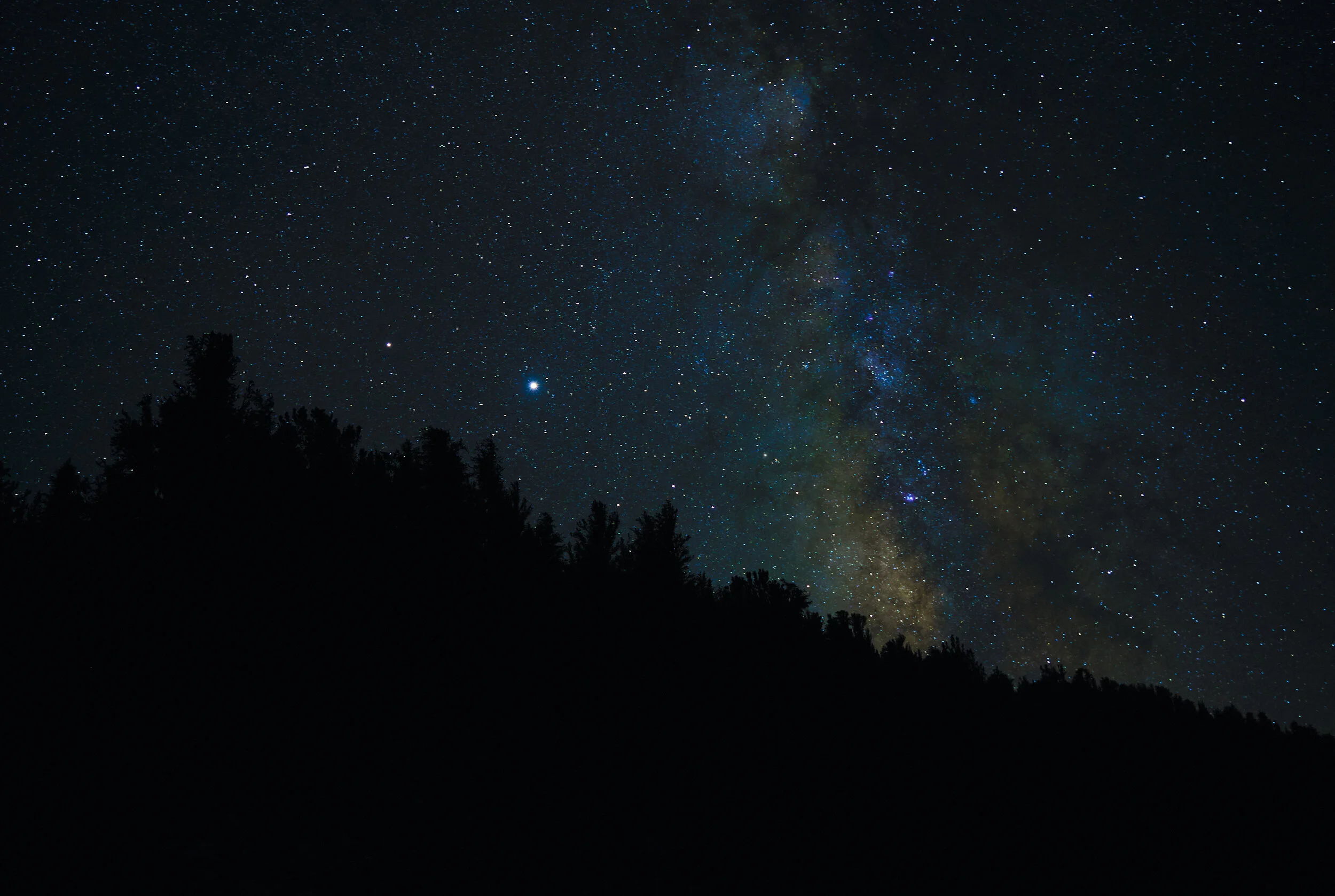 milky-way-over-the-forest 1.jpg