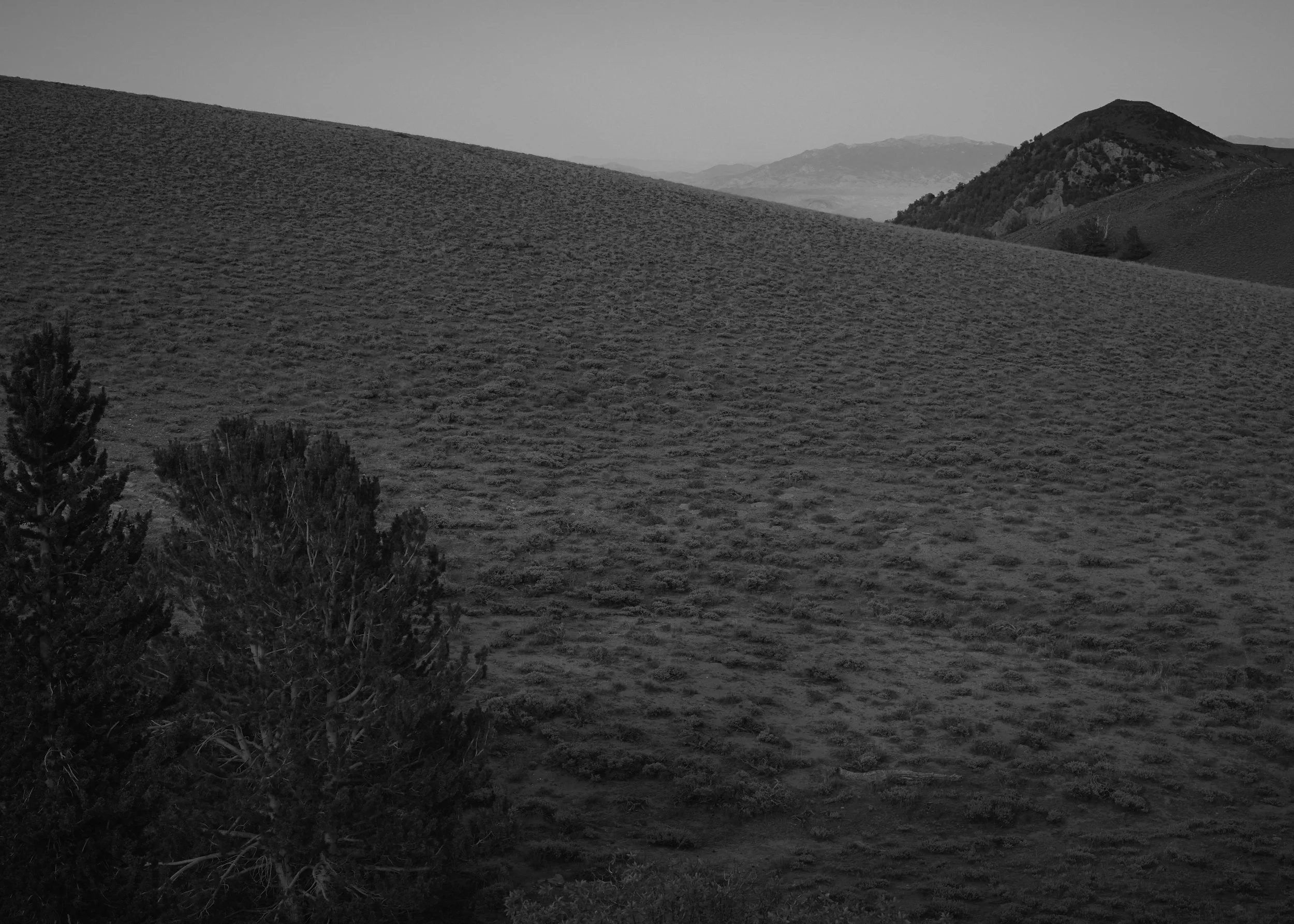 hills-and-trees.jpg
