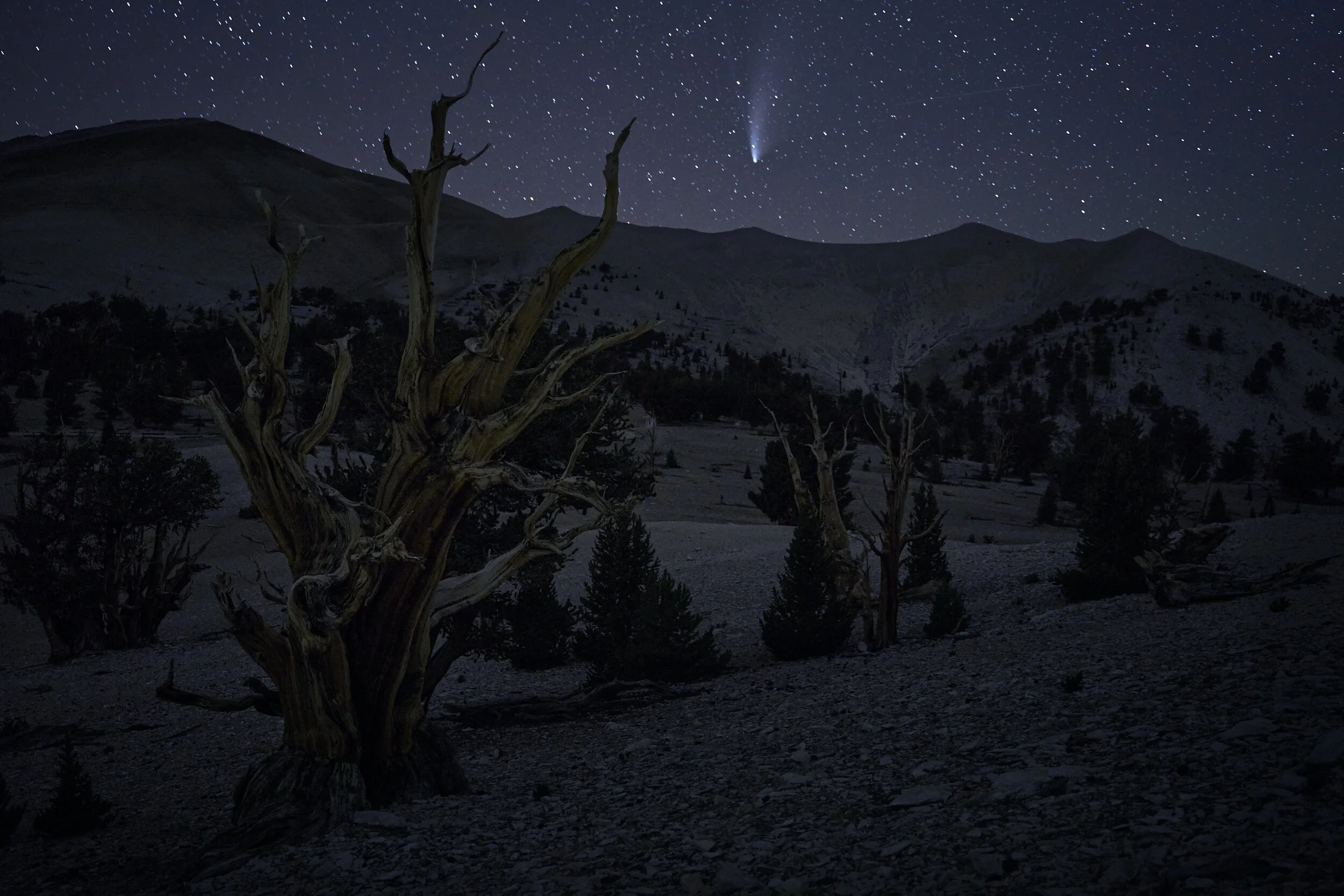 meteor-over-white-mountains 1.jpg