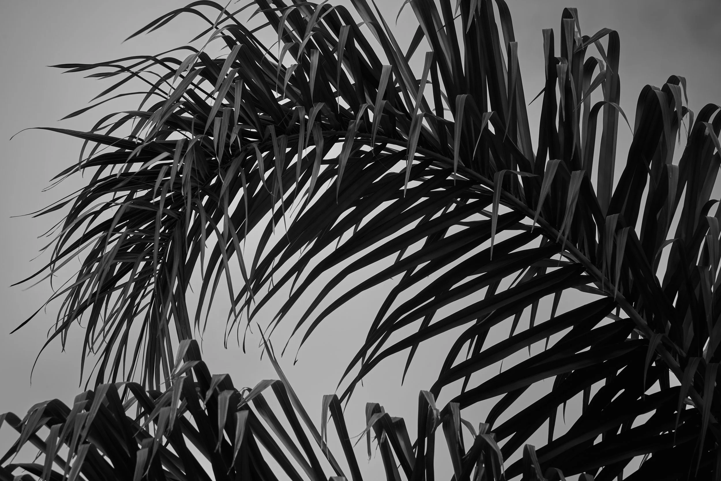_DSC3289 1 1.jpg