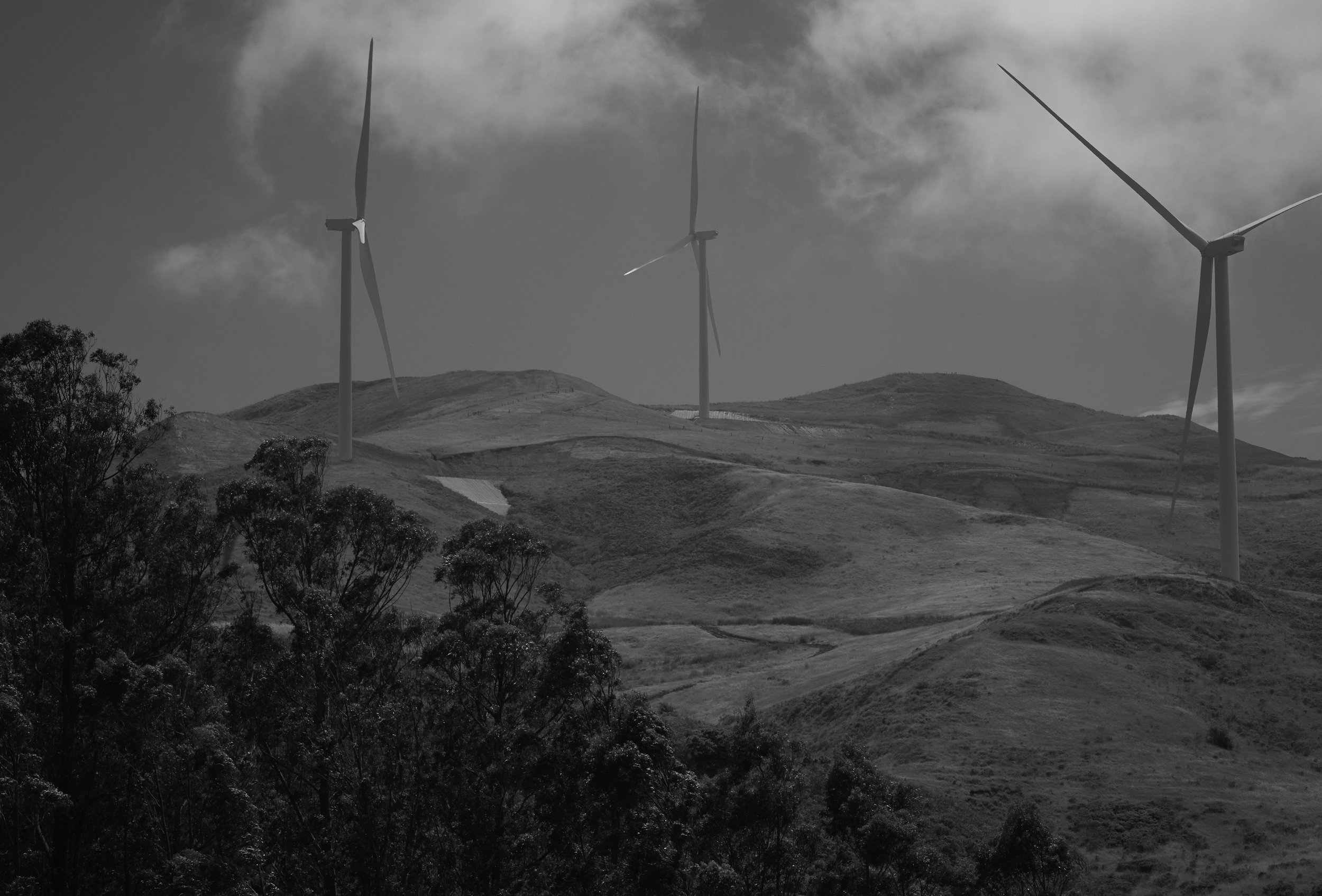 wind-turbines-in-the-wind.jpg