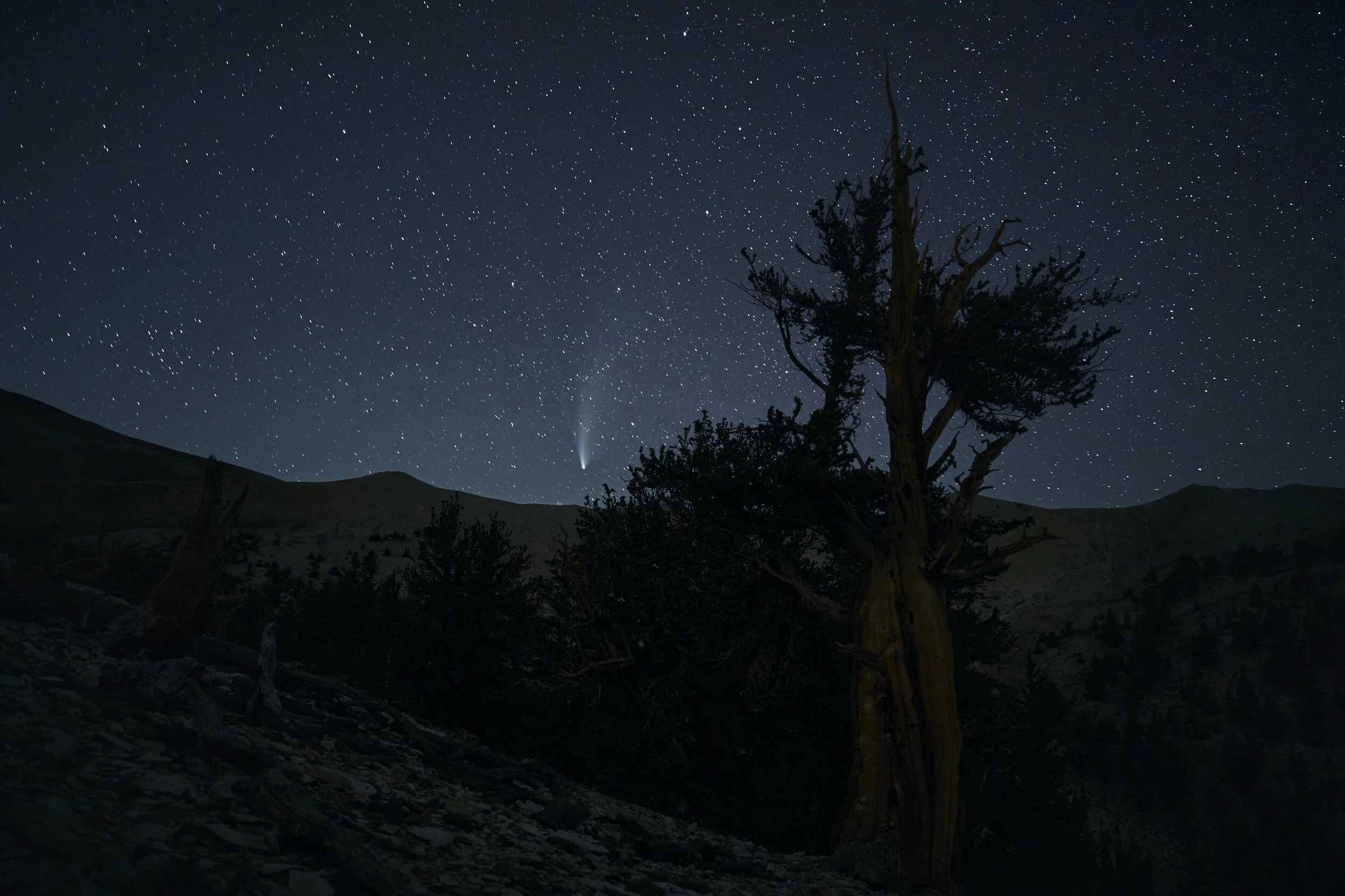 comet-neowise-ifrom-the-white-mountains.jpg