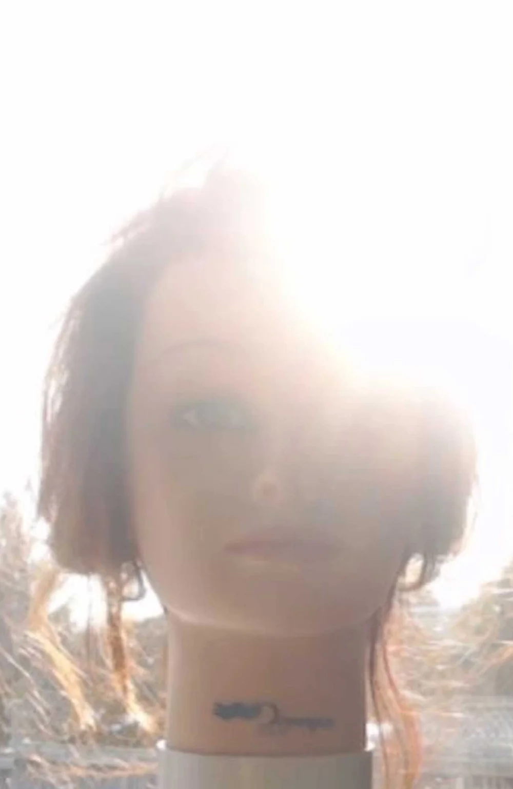 Logitech C920 + Bright Background