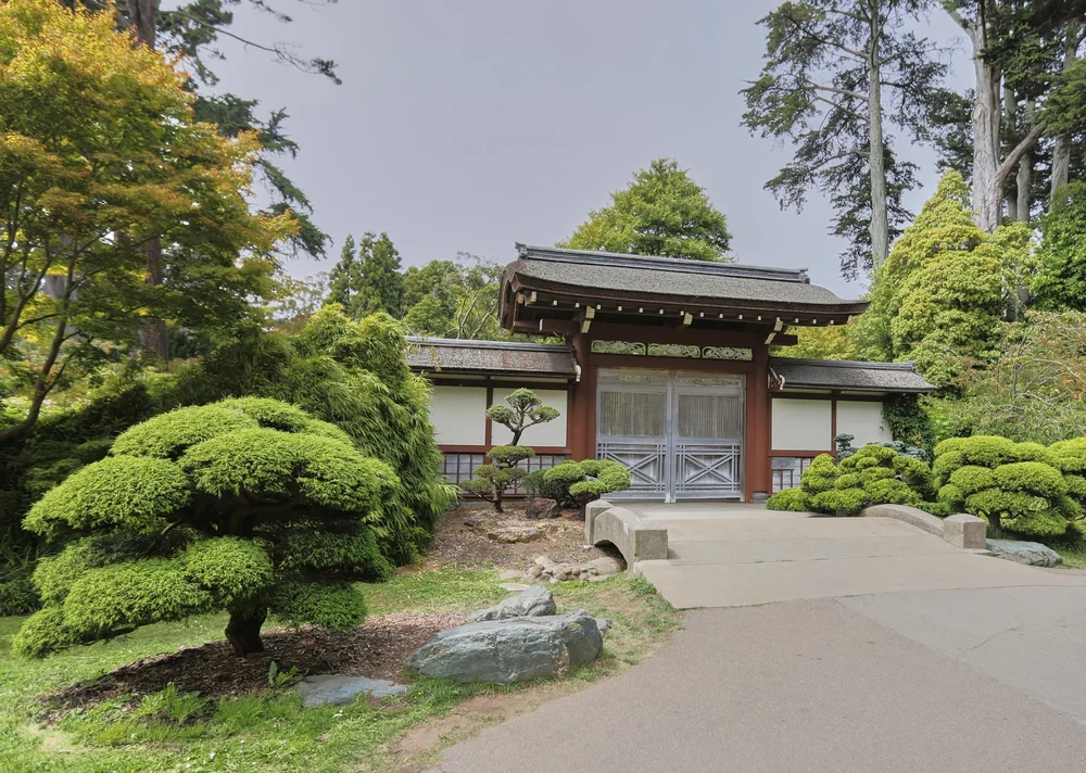 Japanese Teak Garden