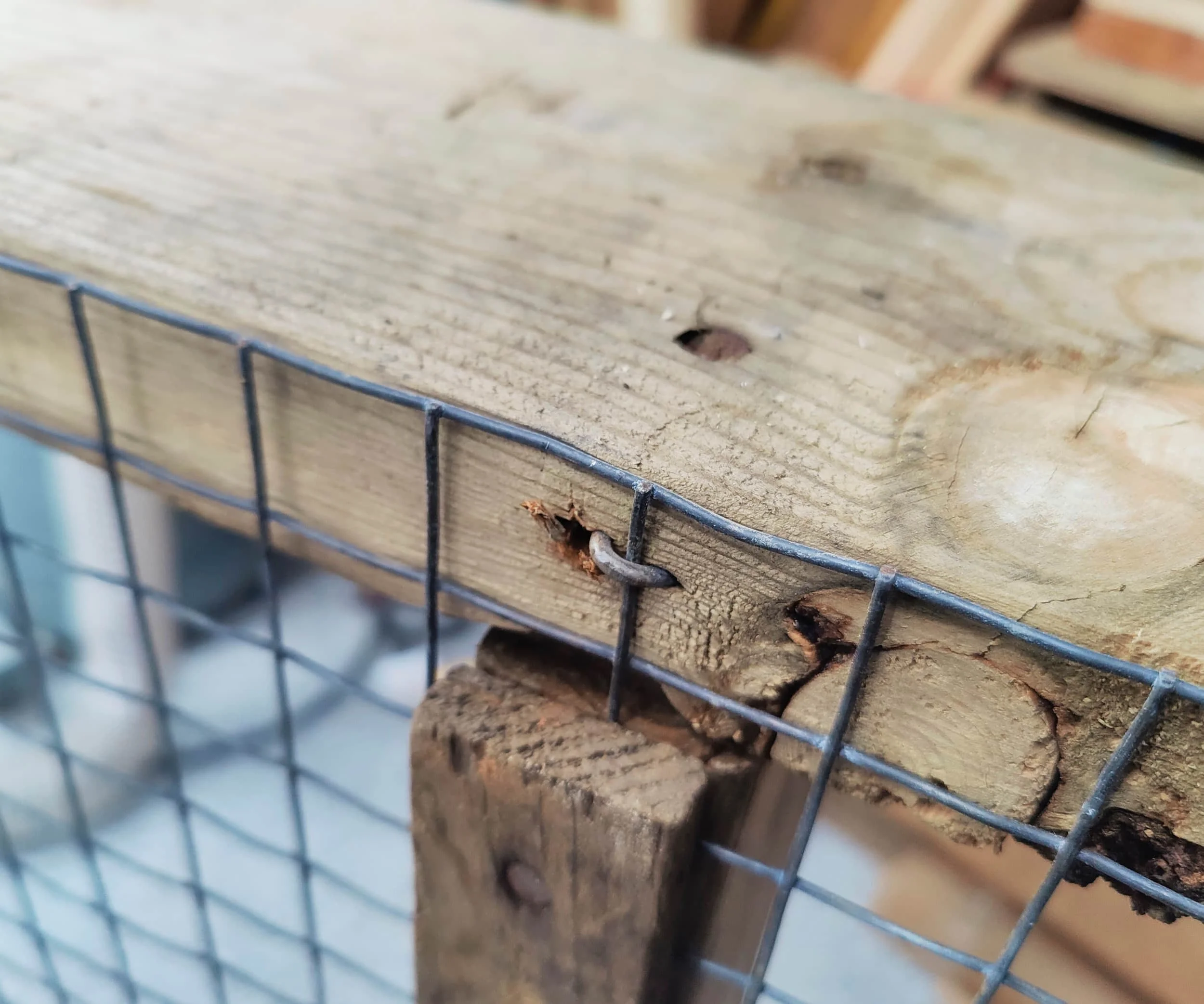 Fencing staples are much nicer