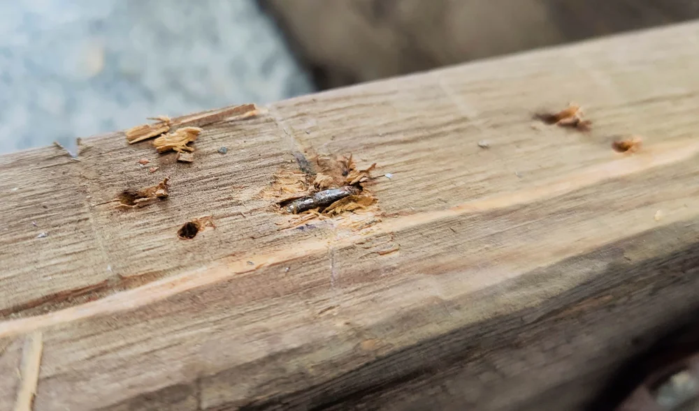 No nice way to remove this