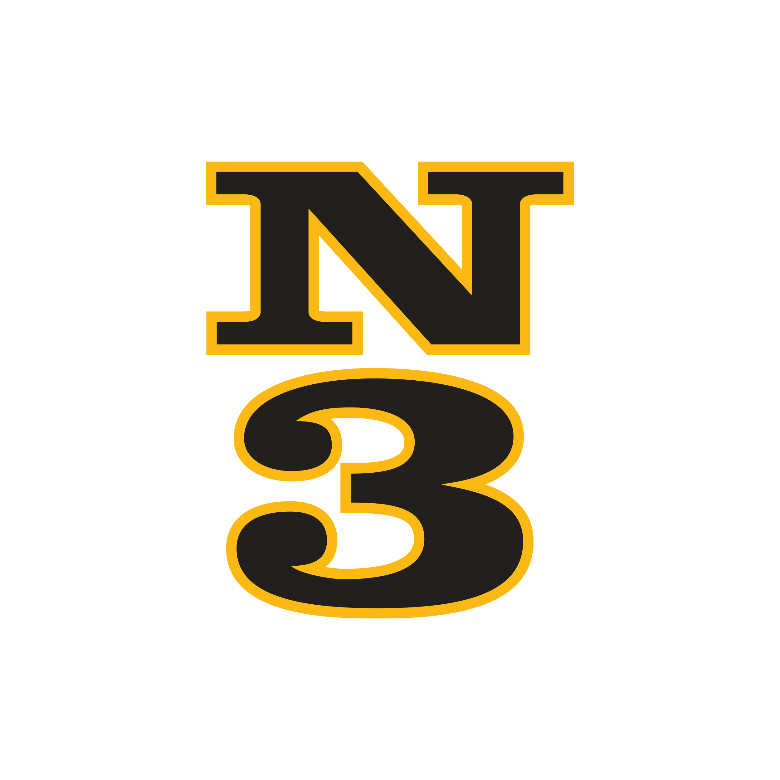 Logo_N3.png
