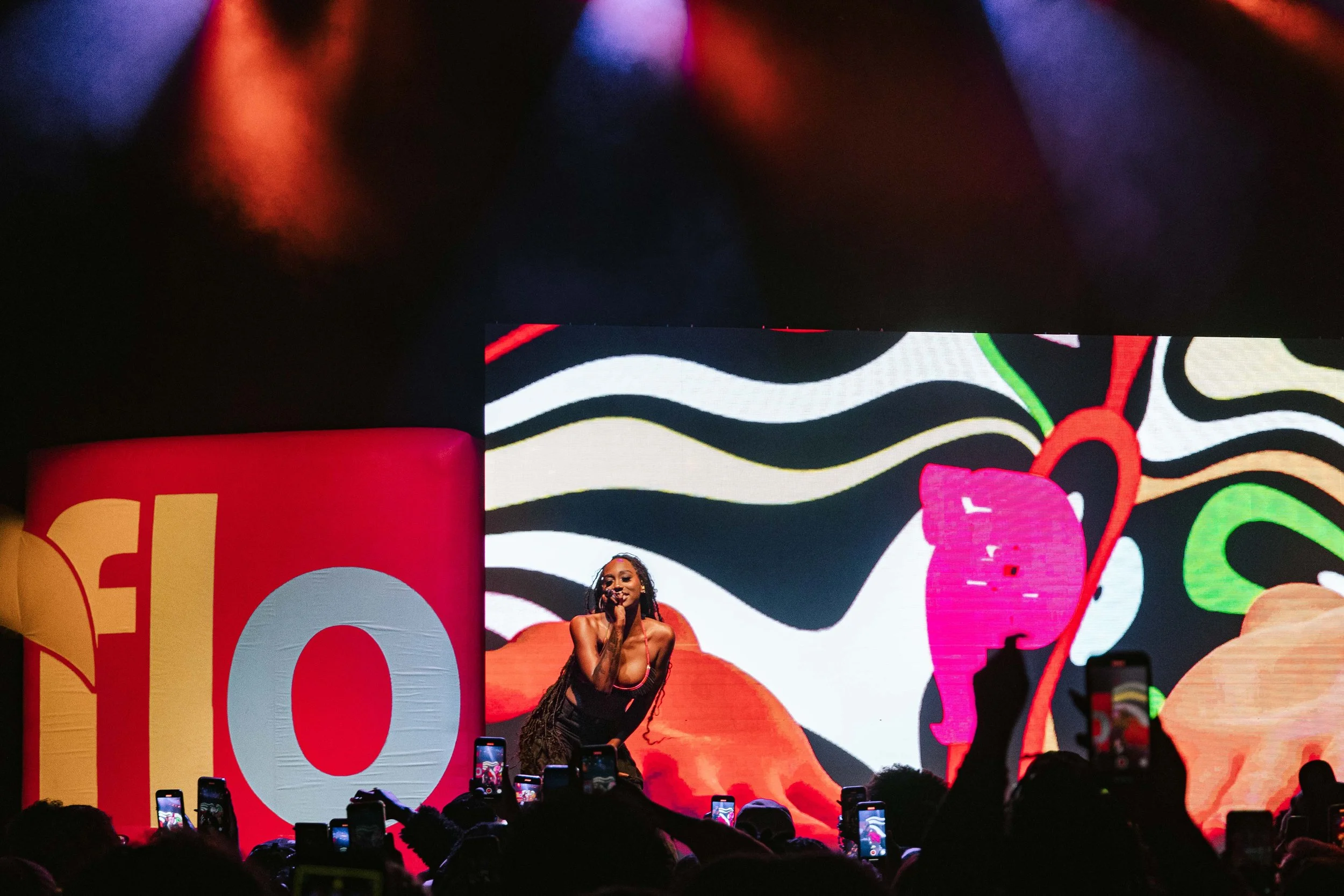 MissallaneousMedia-flo-milli-concert--14.jpg